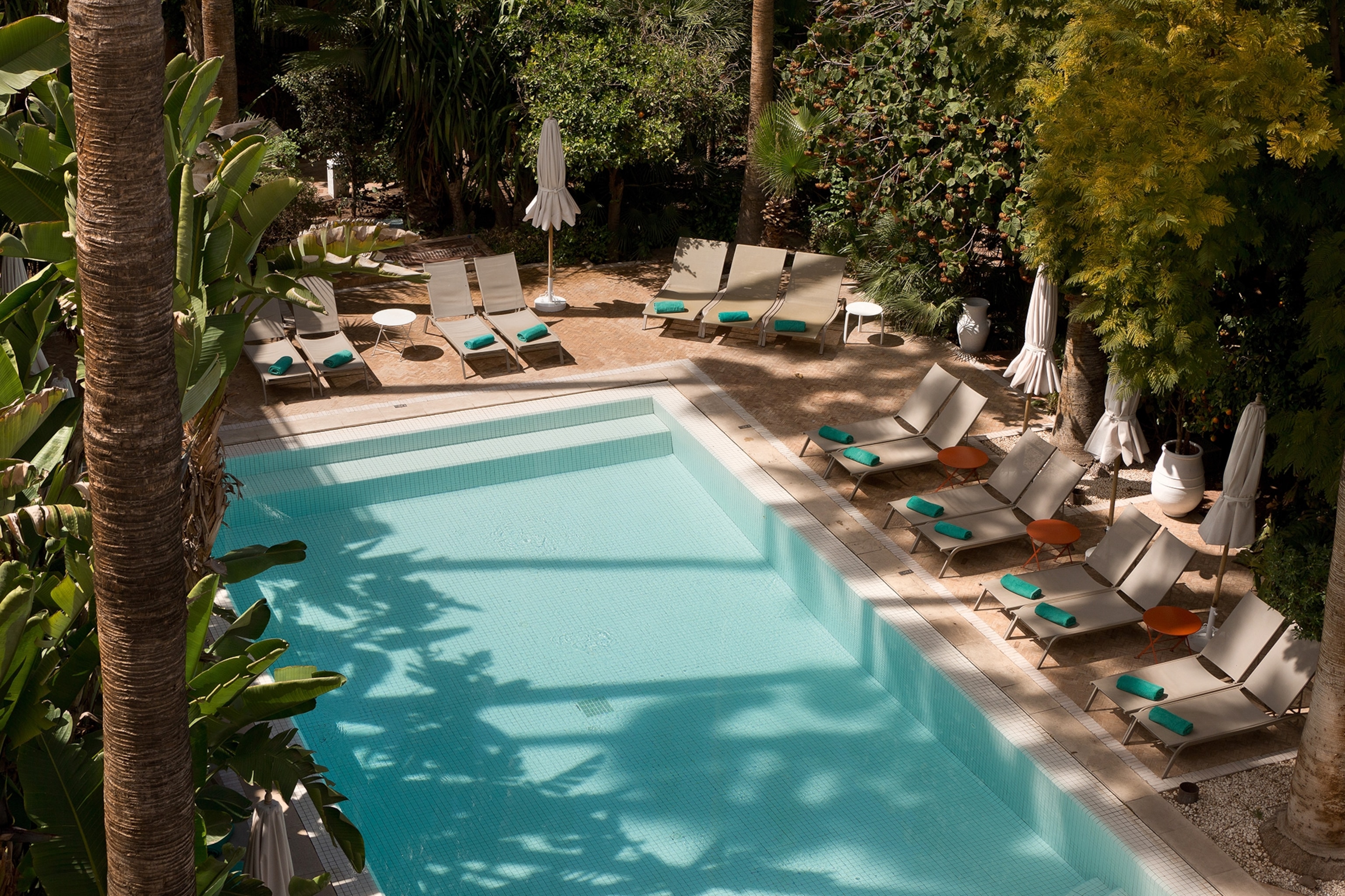 A large pool nestled into a stone courtyard surrounded by palm trees and sundeck chairs.