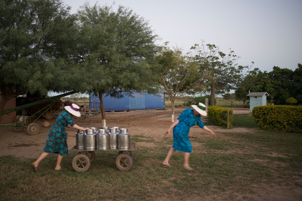 After milking the cows, two of Abaham Penner's daughters move the milk to the front door, where the milkman will take it to the cheese factory. Colonia Oriente, Bolivia. 2013