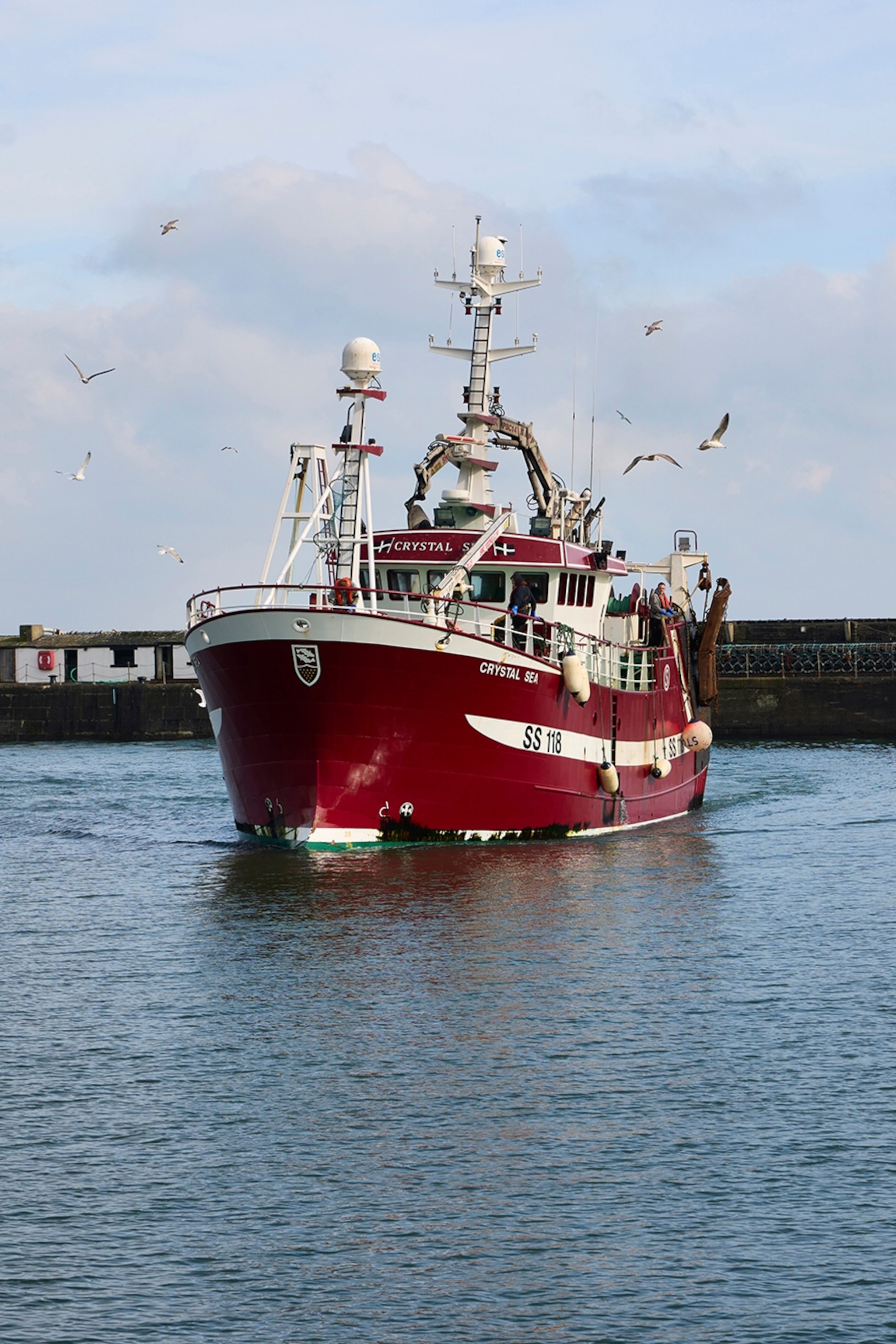 A fishing ship in a bay surrounded by seagulls.
