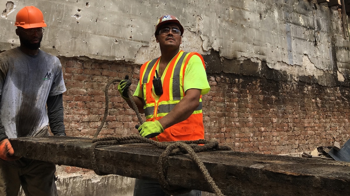 Timber salvaged from New York City buildings reveals ancient climate - Vimarsana News