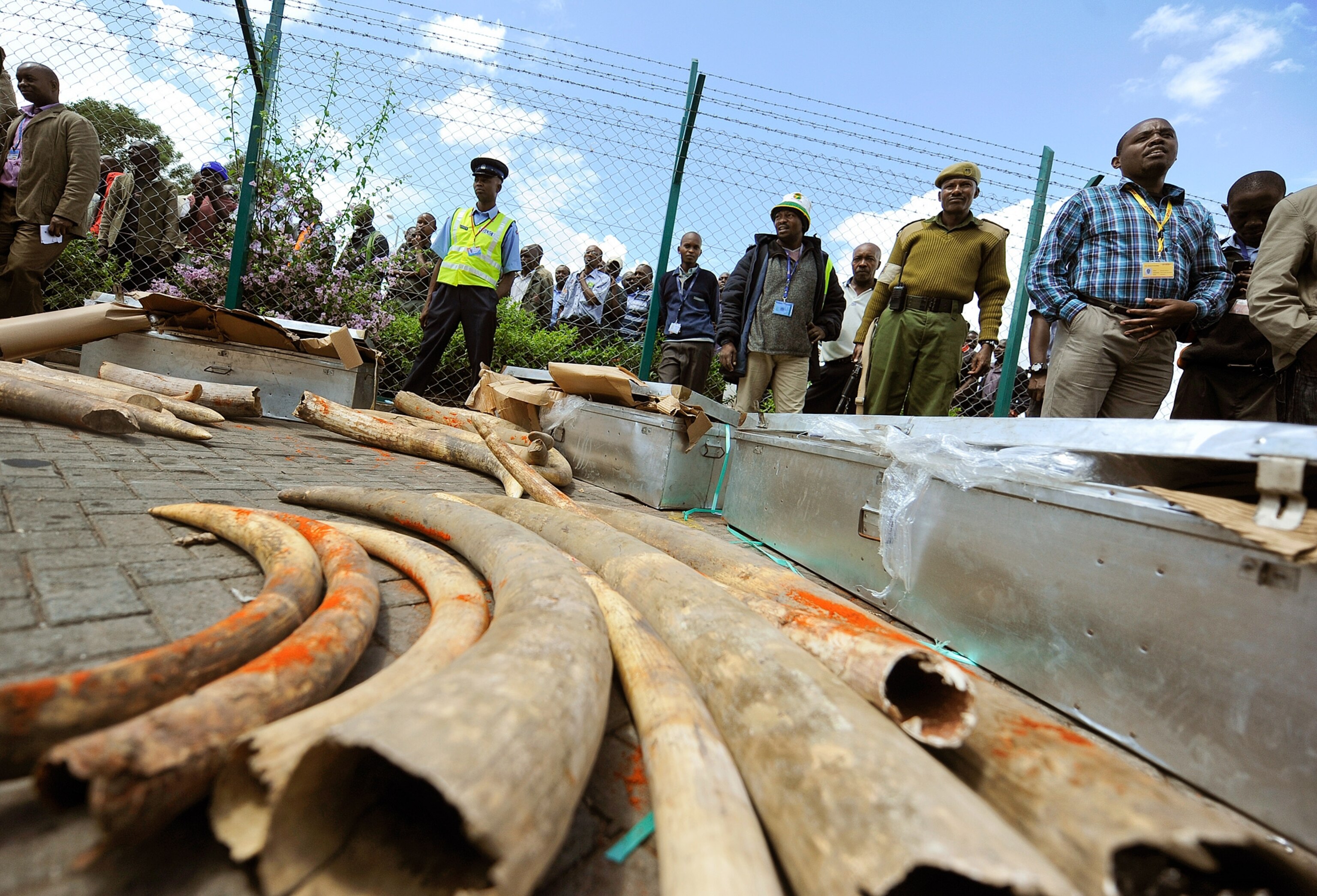 a dock worker for the Kenya Ports Authority standing amid rows of shipping containers.