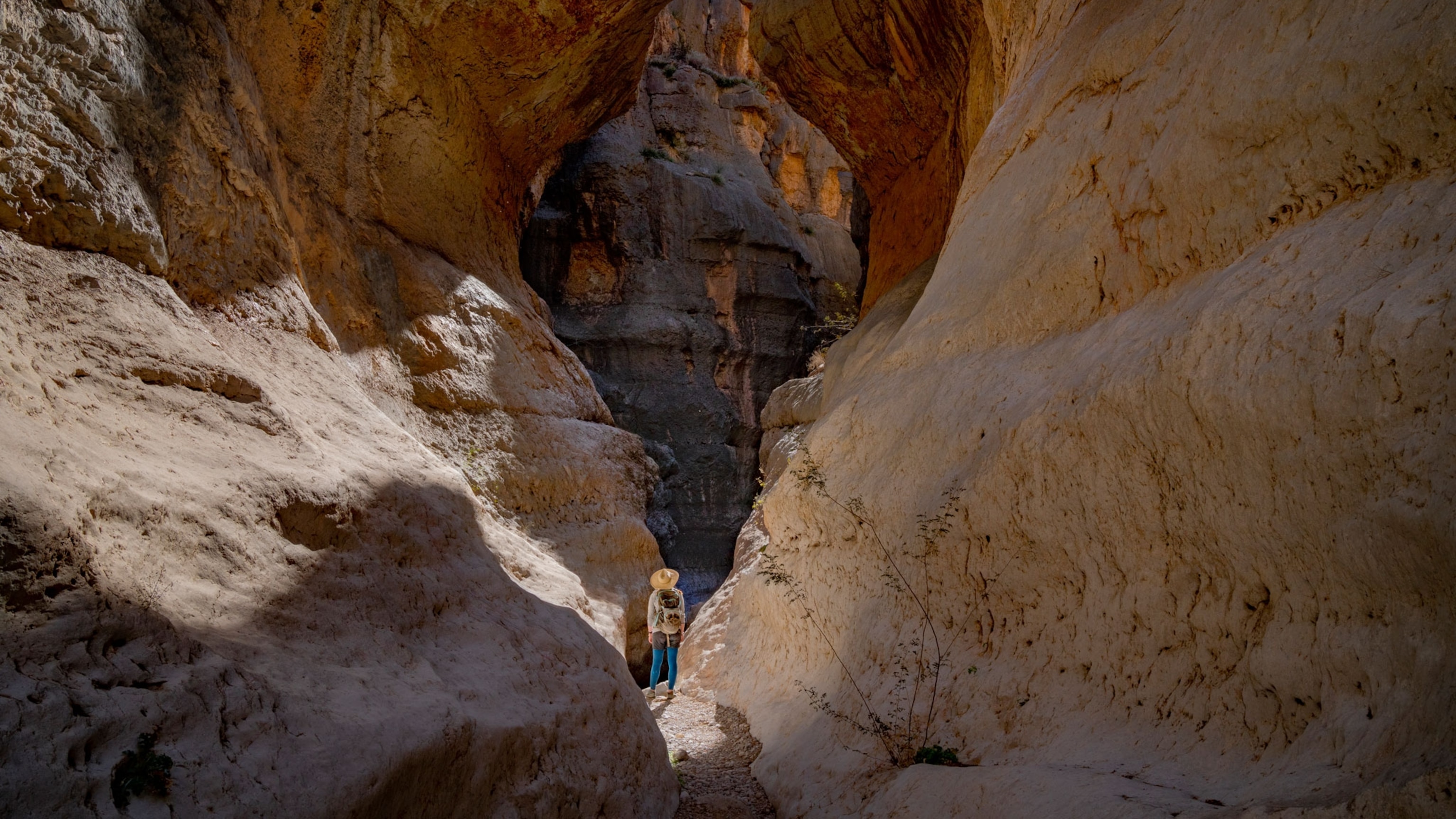 A traveler s guide to America s - NationalGeographic 2790521 16x9 