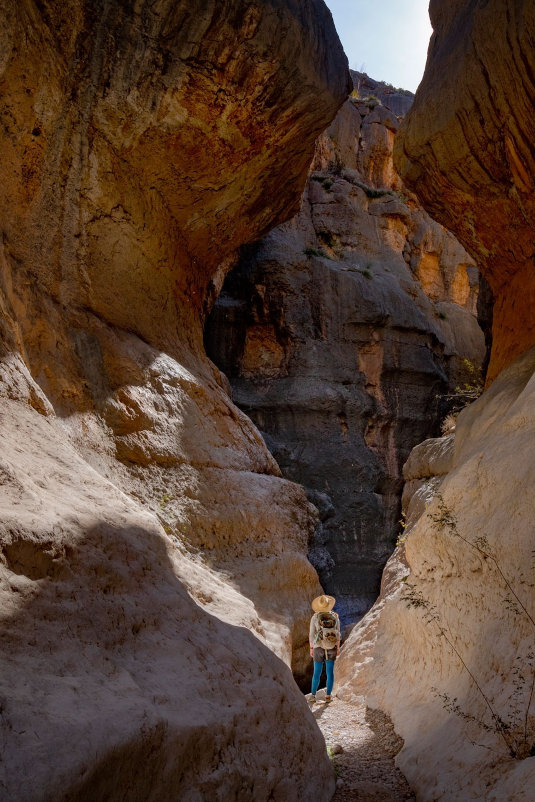 Latest Stories from National Geographic