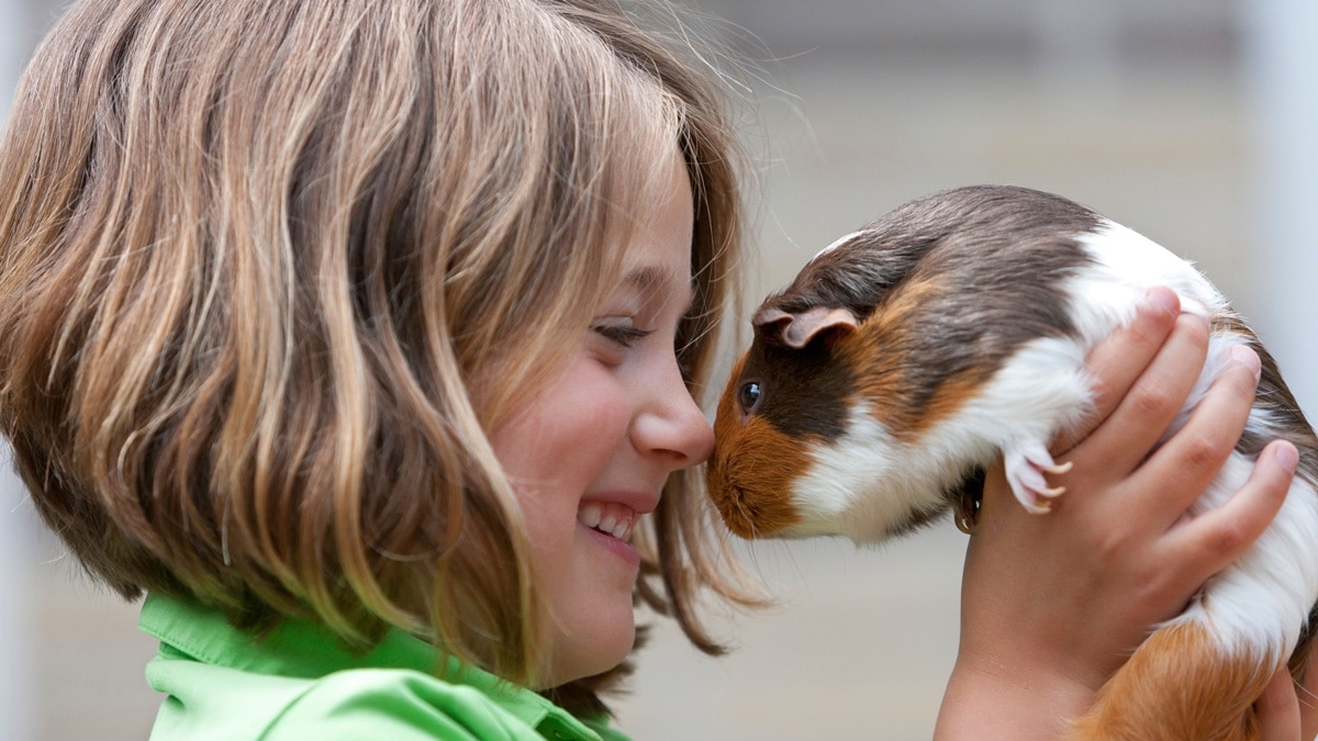 Is your family pet bad for the environment? It depends.