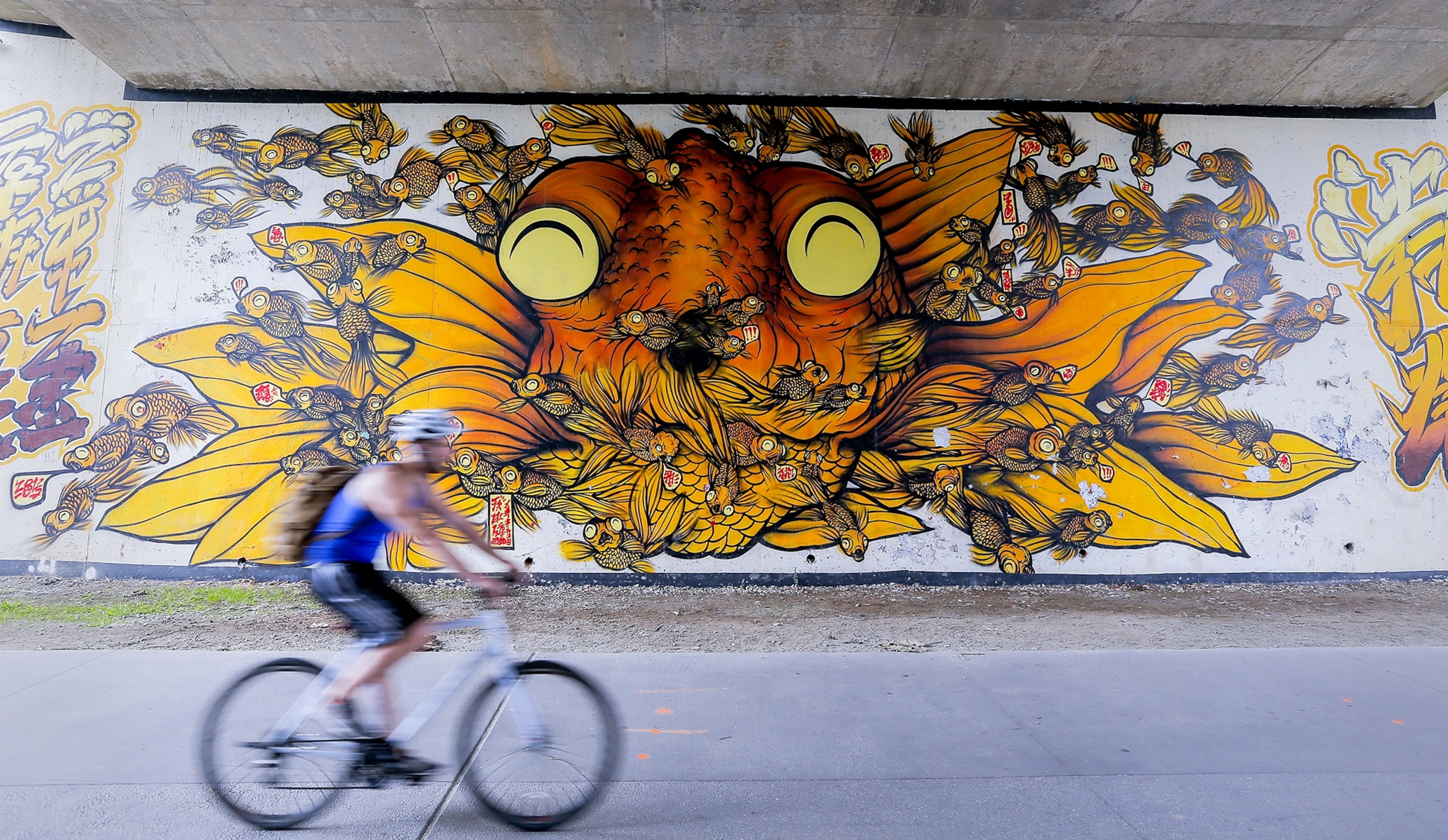a cyclist on the Art on Atlanta BeltLine in Atlanta, Georgia