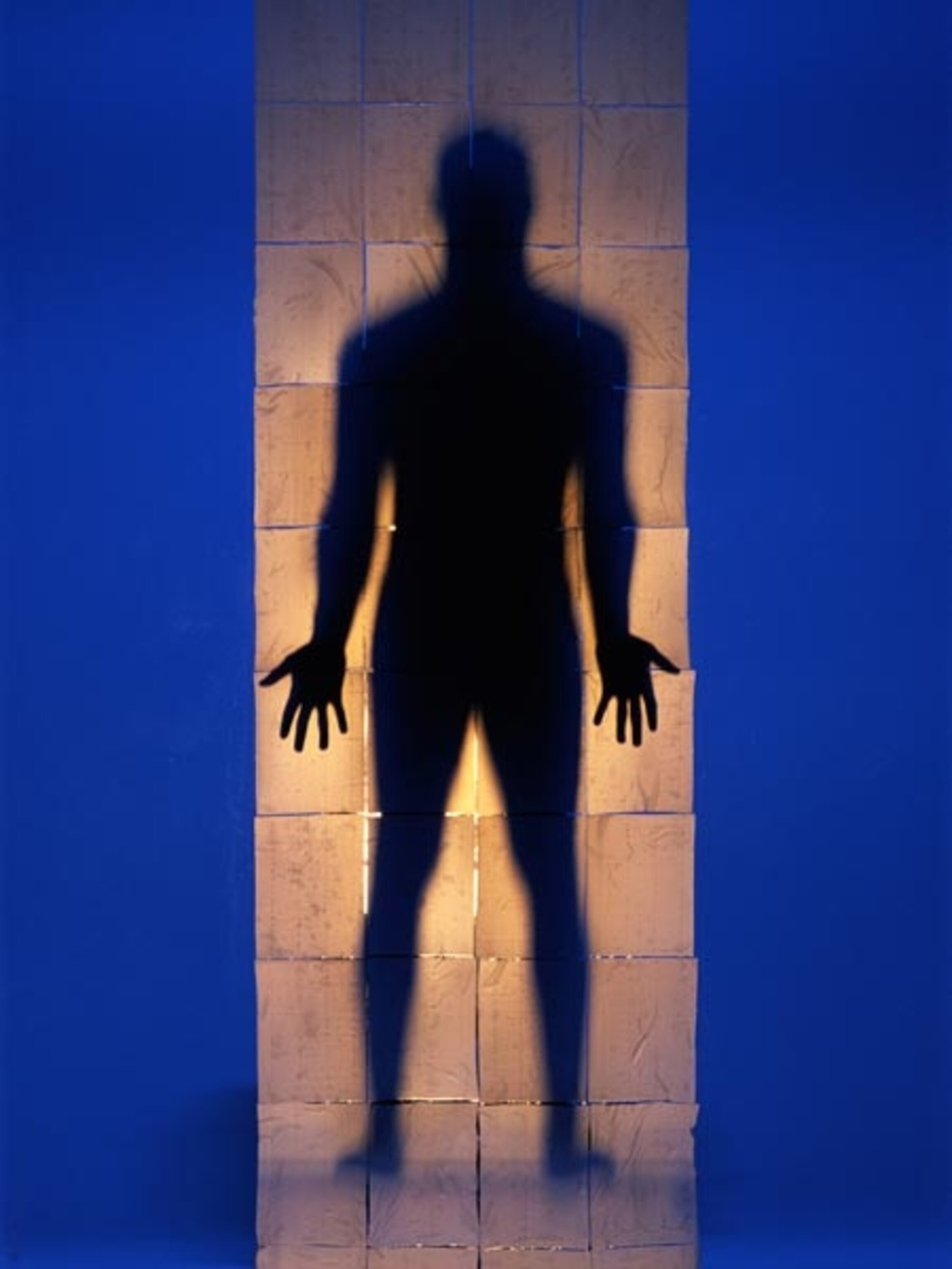 Skin Information and Facts | National Geographic