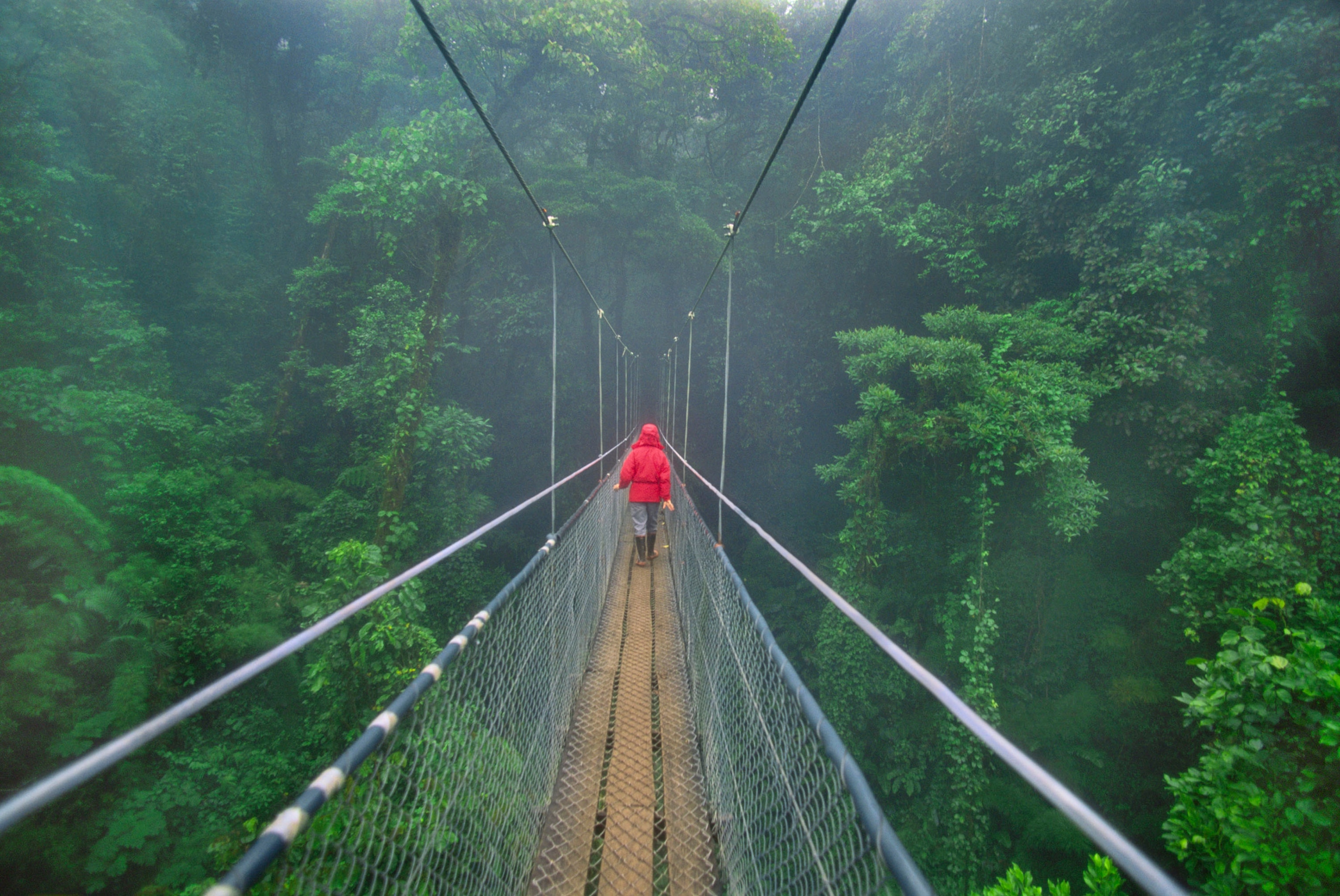 Blauw Beschietingen Tot stand brengen Costa Rica Travel Guide