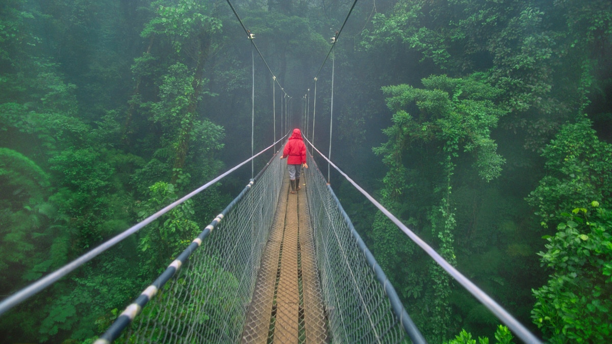 Costa Rica Travel Guide