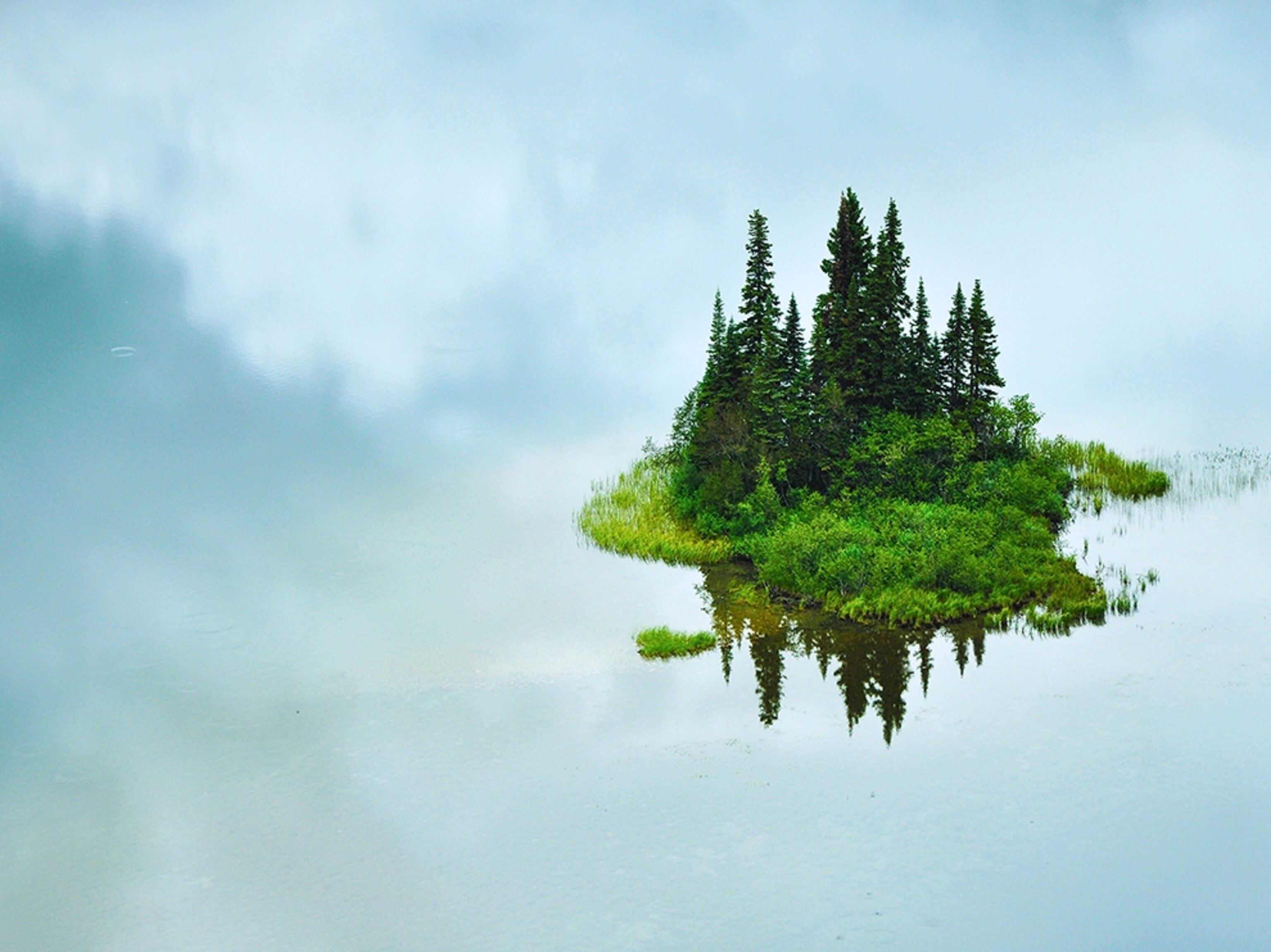 an island in the middle of Tumuch Lake, British Columbia
