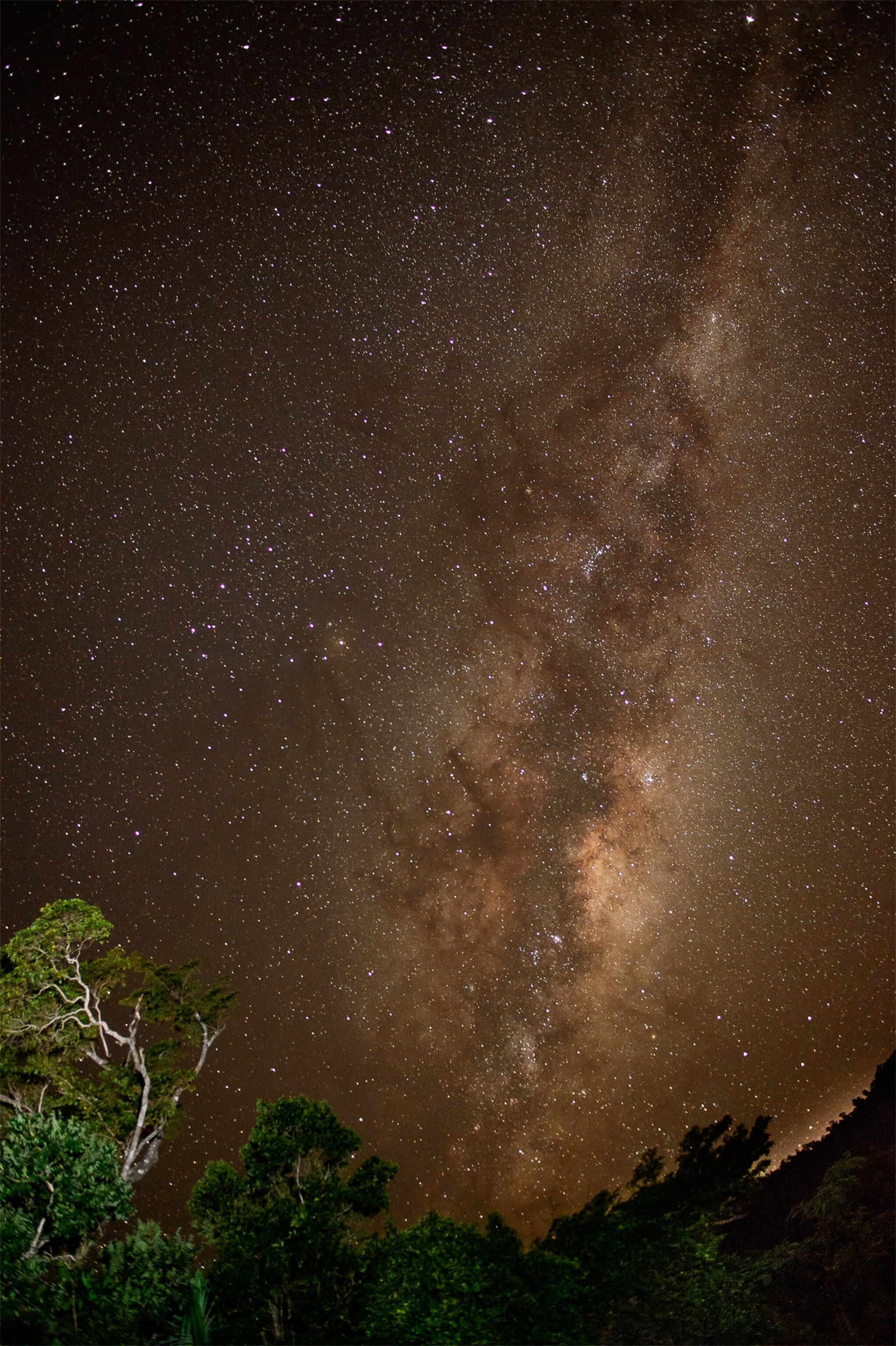 Milky Way picture: for the week's best space pictures