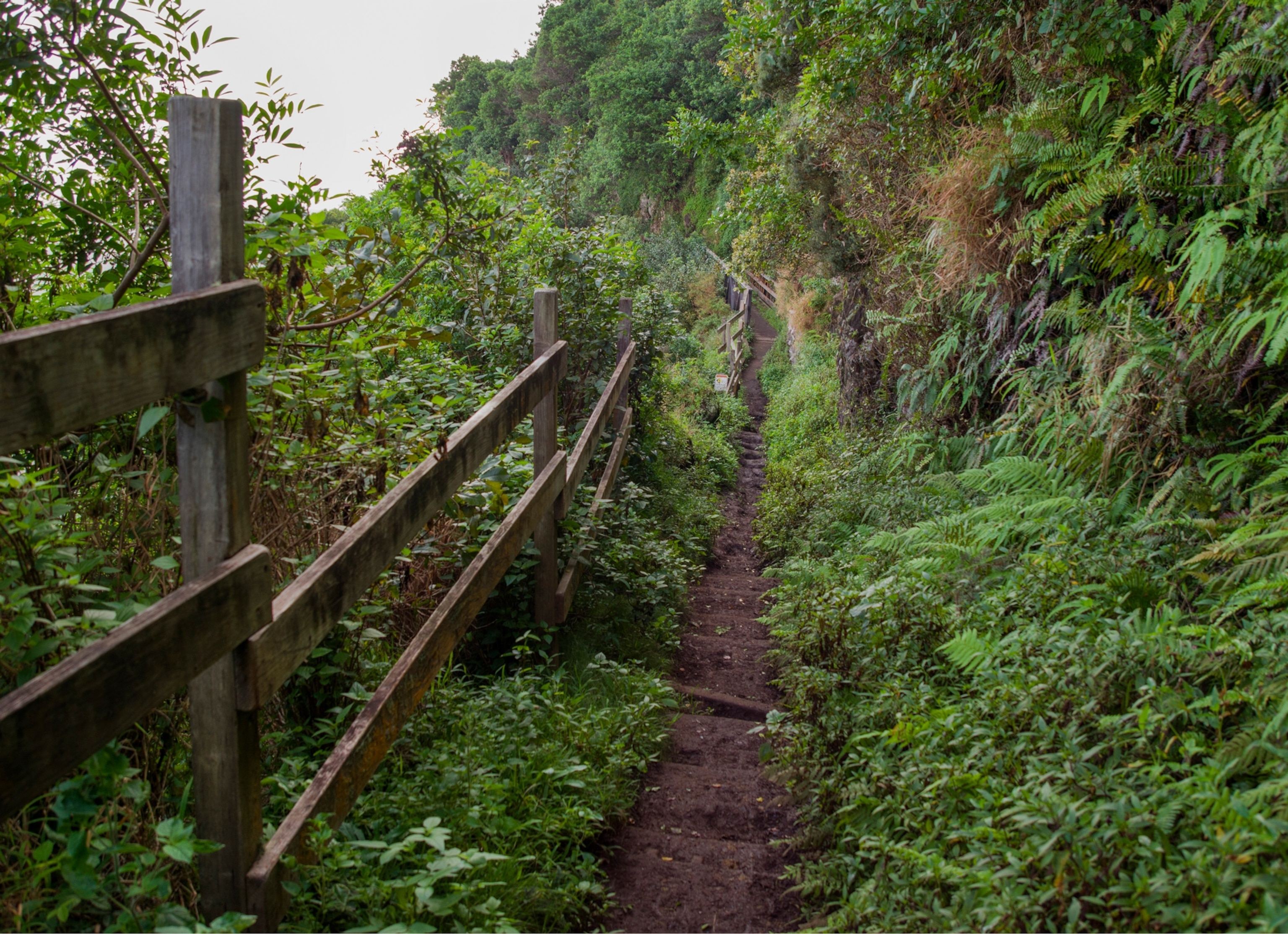 view of the trail leading to Molokai's Kalaupapa Peninsula in Kualapuu, Hawaii.