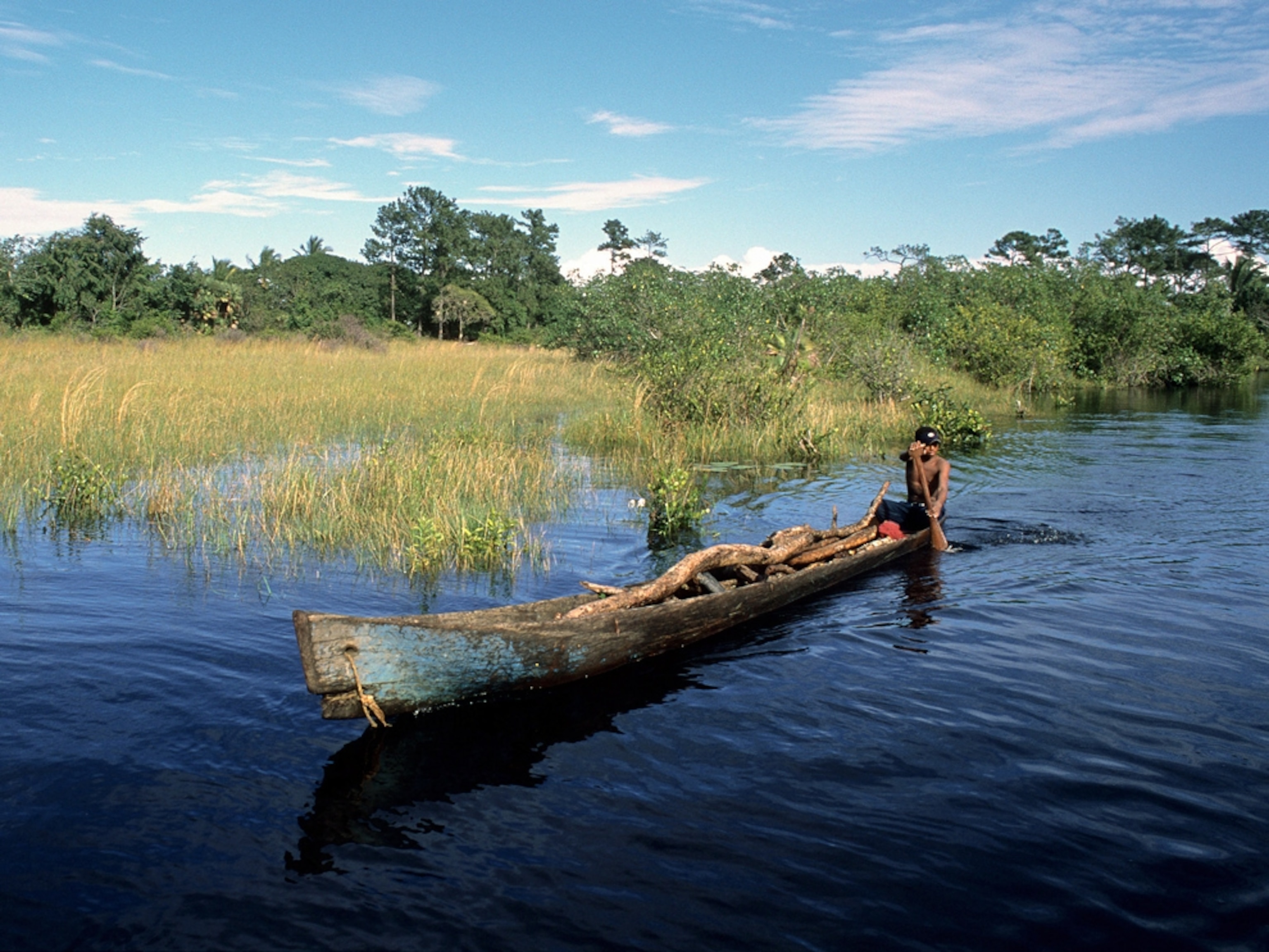 Rain forest picture: Río Plátano Biosphere Reserve in Honduras, a World Heritage site said to be in danger