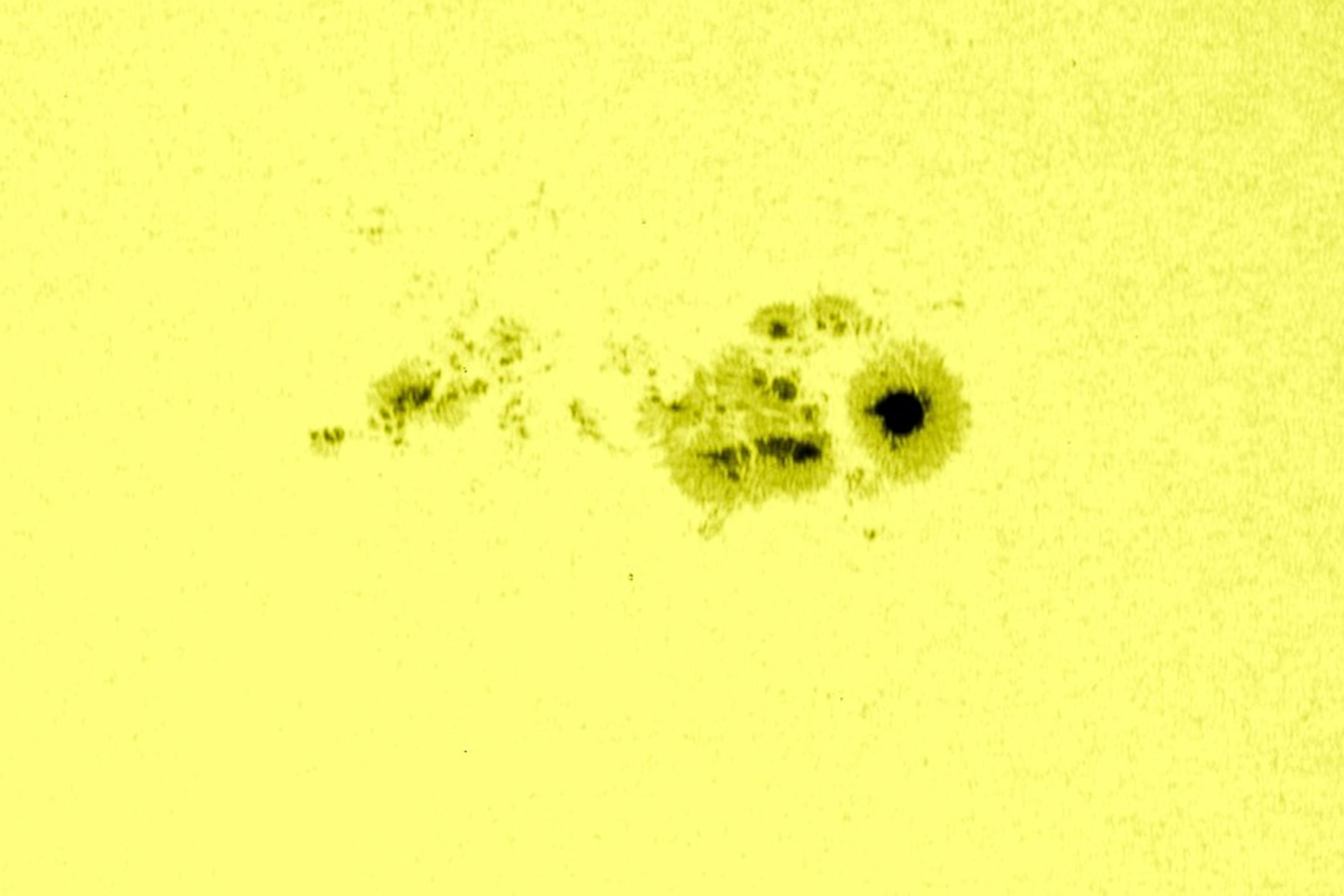 A massive sunspot.