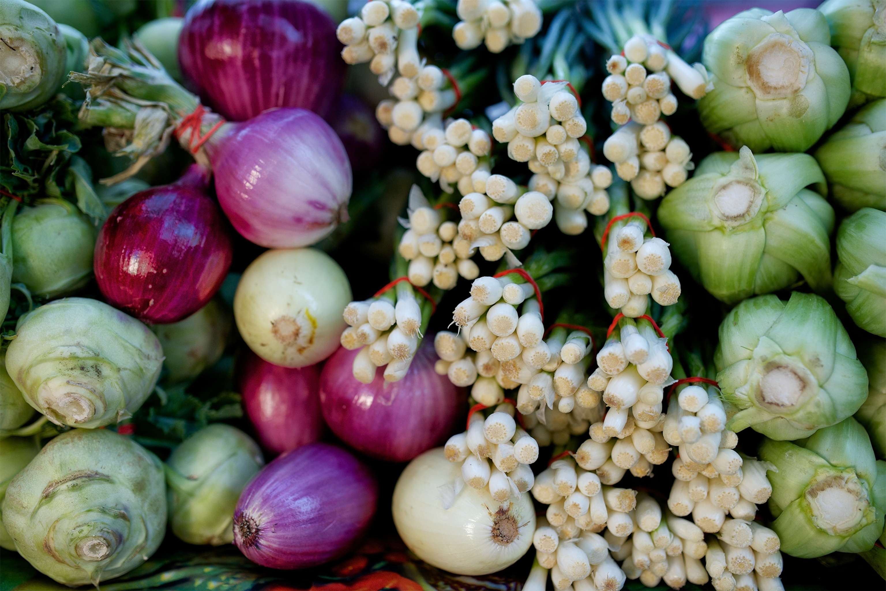 produce at a farmers market in Madison, Wisconsin.