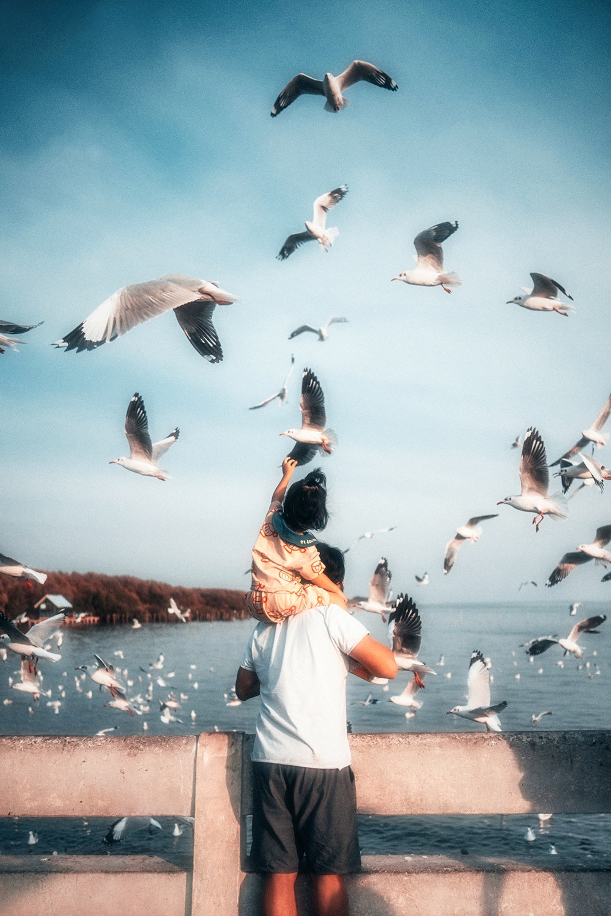A father carrying his daughter on his shoulders as a flock of seagulls surrounds them by the sea.