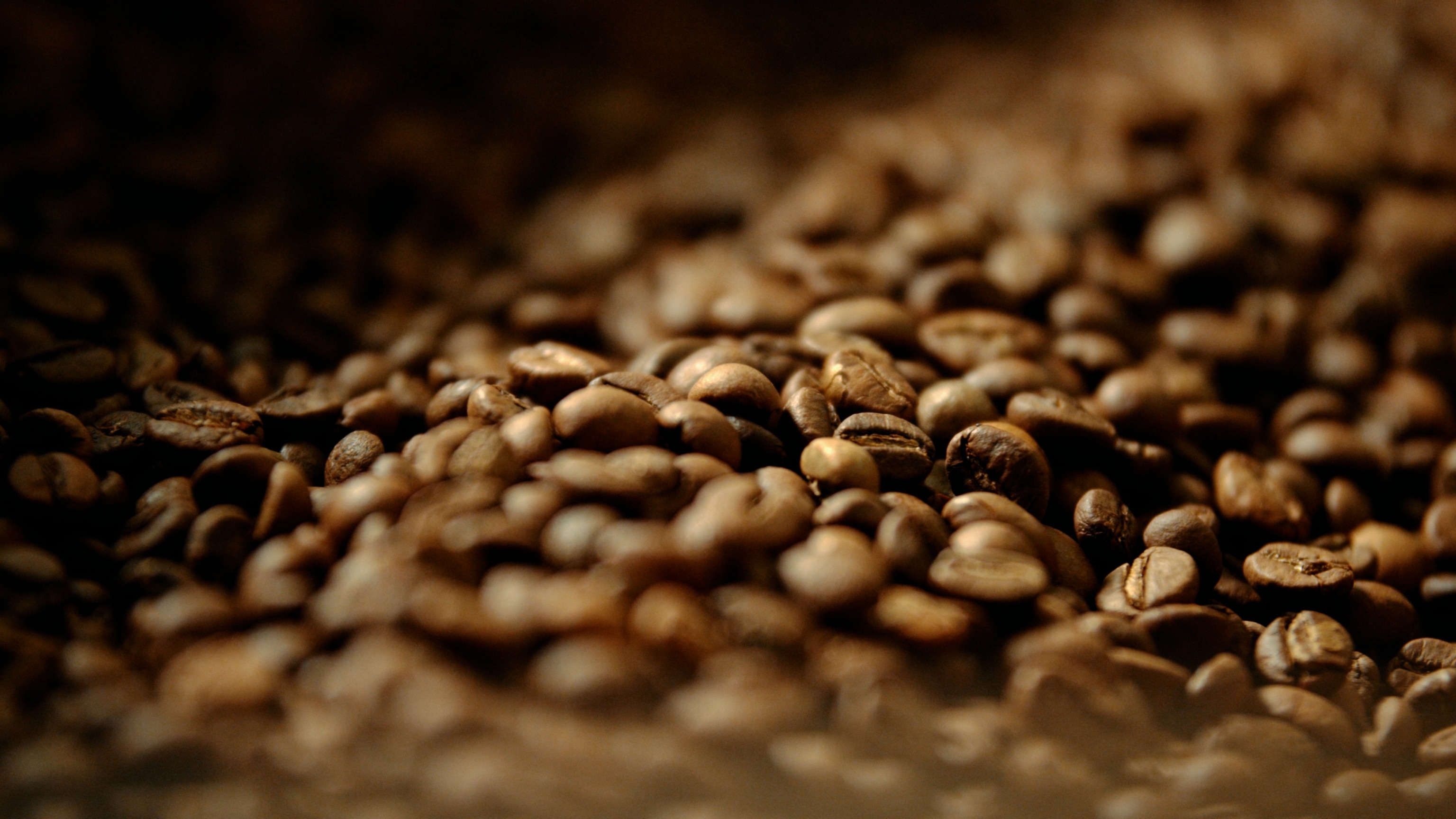 Growing high-quality coffee takes generations of experience, scientific knowledge, and constant adaptation.
