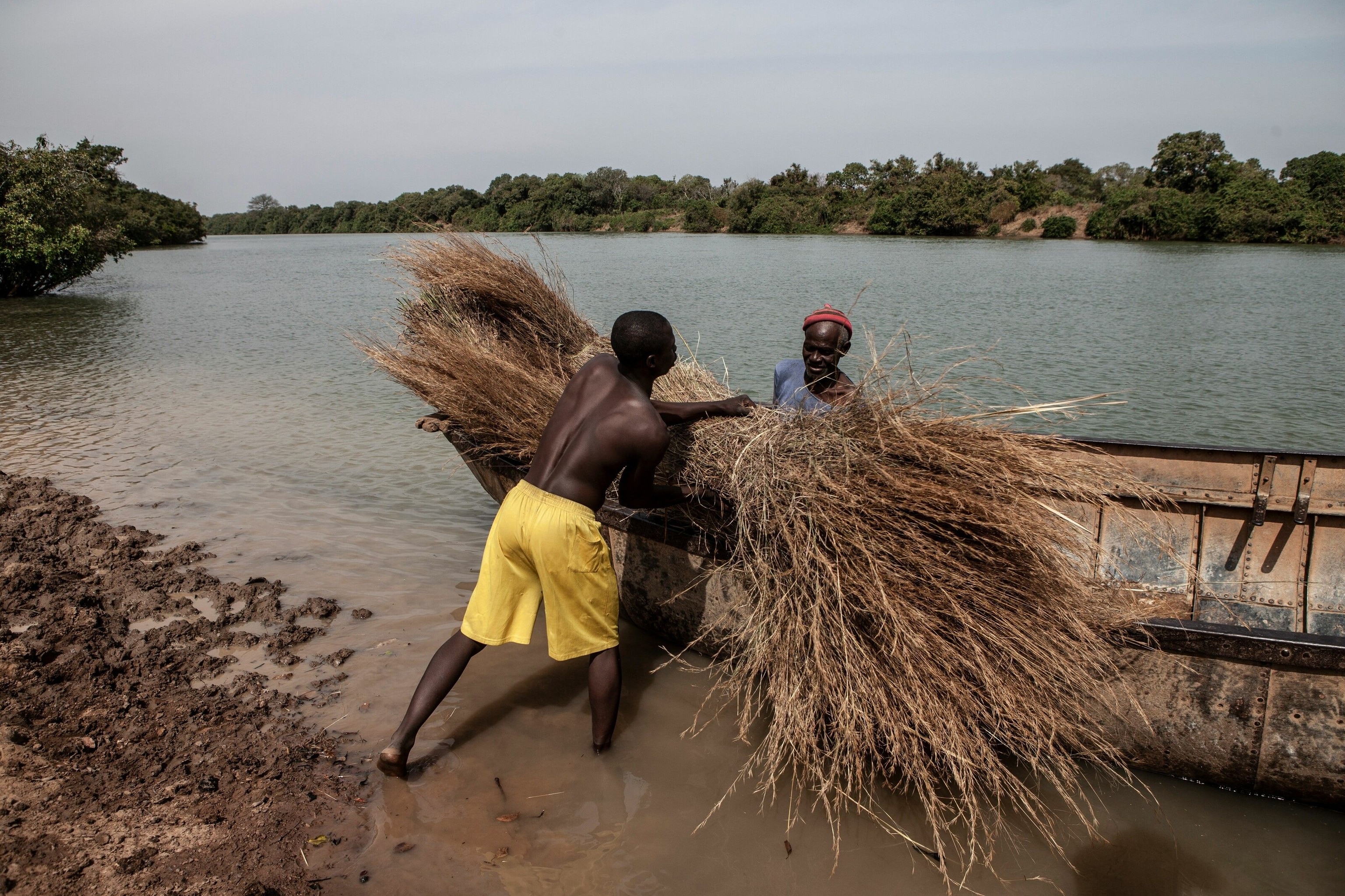 Men bring roofing grass across the Gambia River in a barra boat. Roofing grass is still used by many homeowners, especially in the rural areas of The Gambia.