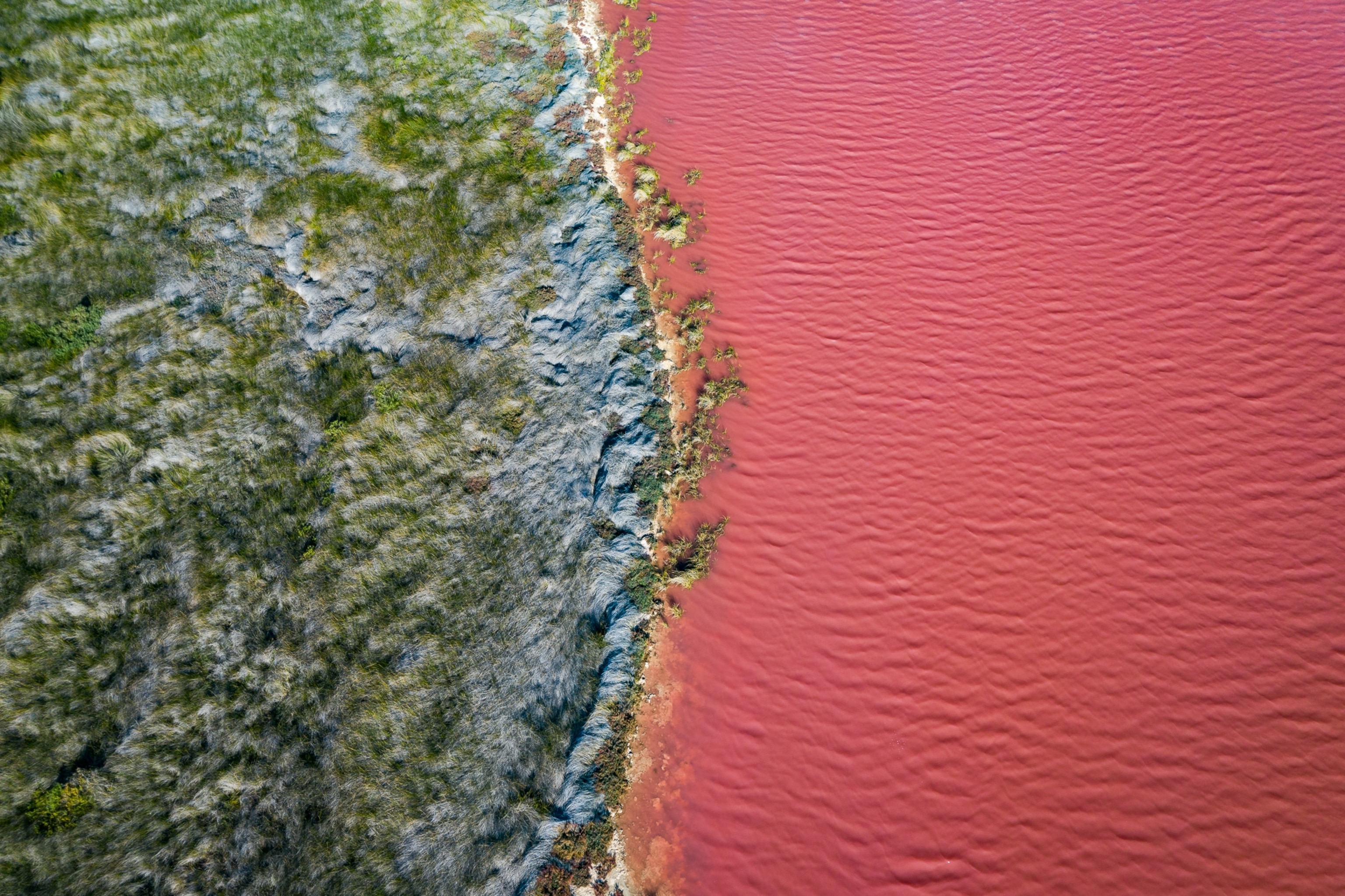 Australia's famous pink lakes are disappearing | National Geographic