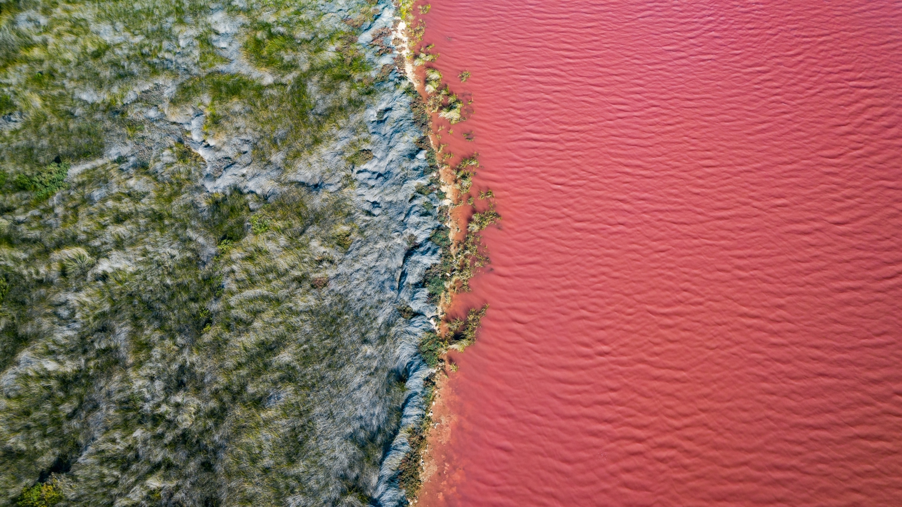 Australia’s famous pink lakes are disappearing