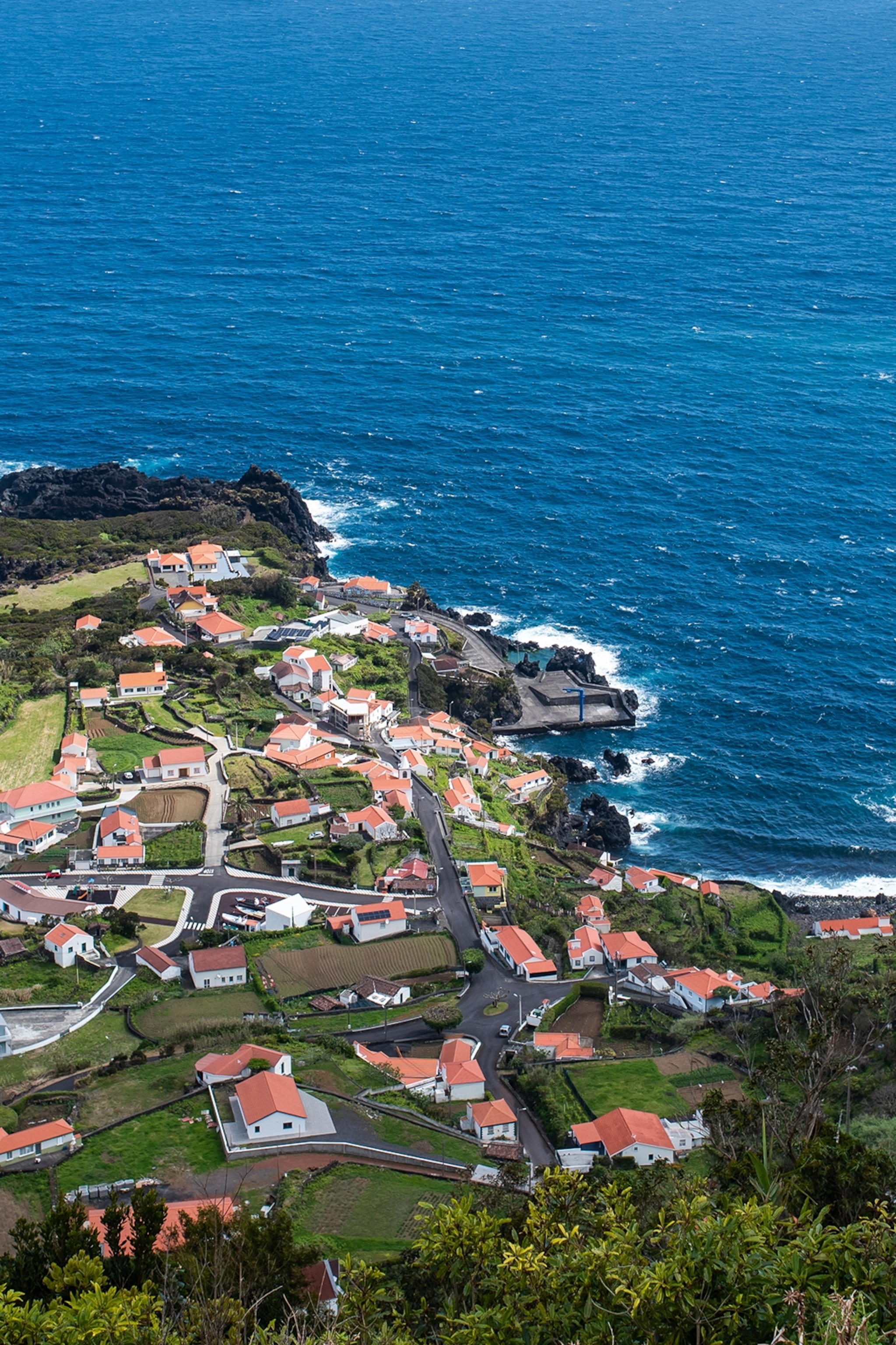 The rugged coast of an island with an overgrown lava field and a small settlement.
