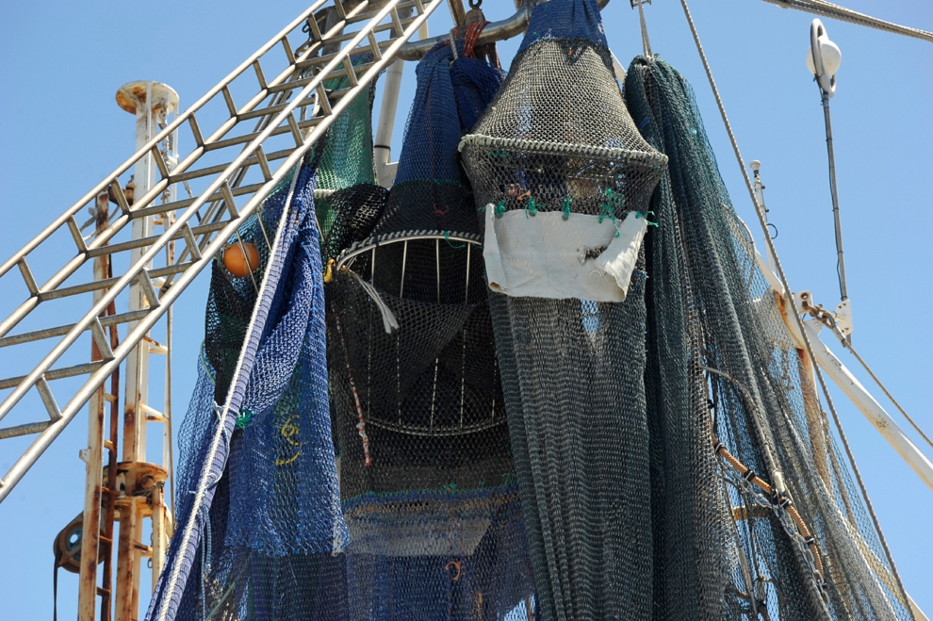 Picture of a sea turtle excluder device for a story on how millions of sea turtles are killed accidentally each year.