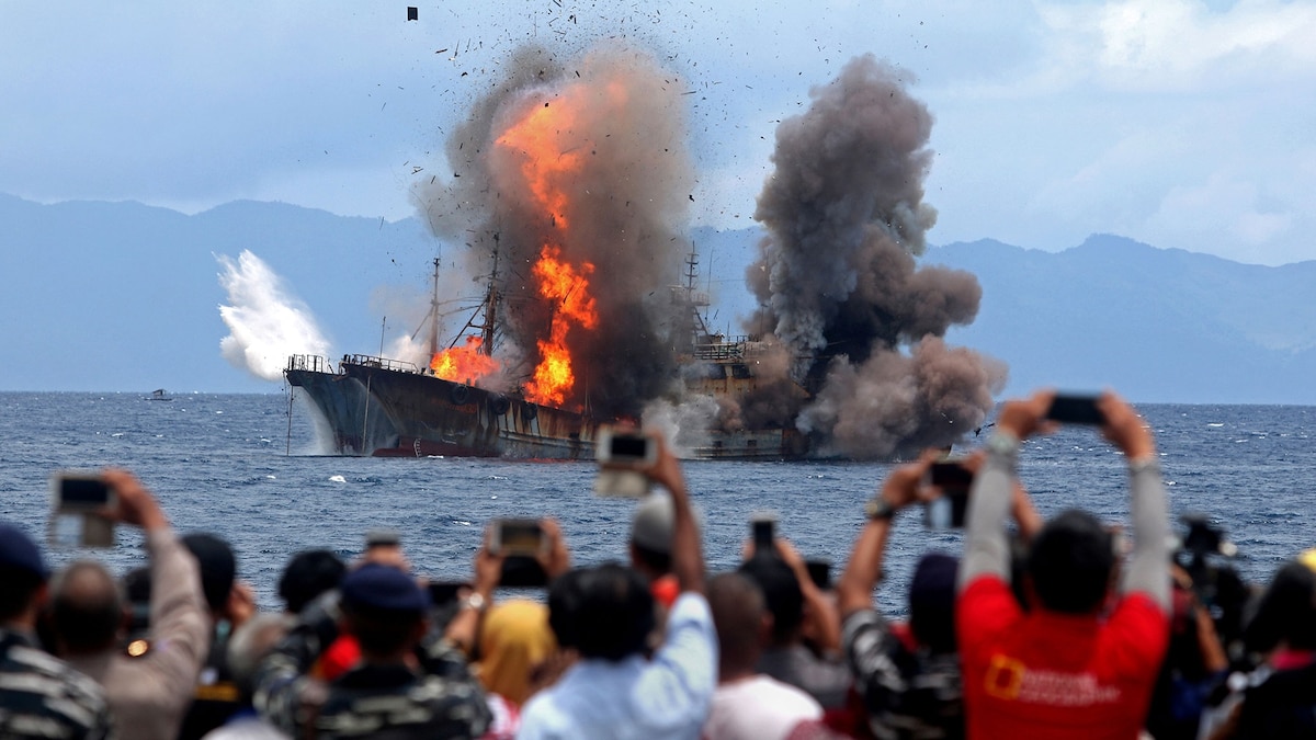 Interpol’s fish crime detectives who hunted villains on the high seas – National Geographic