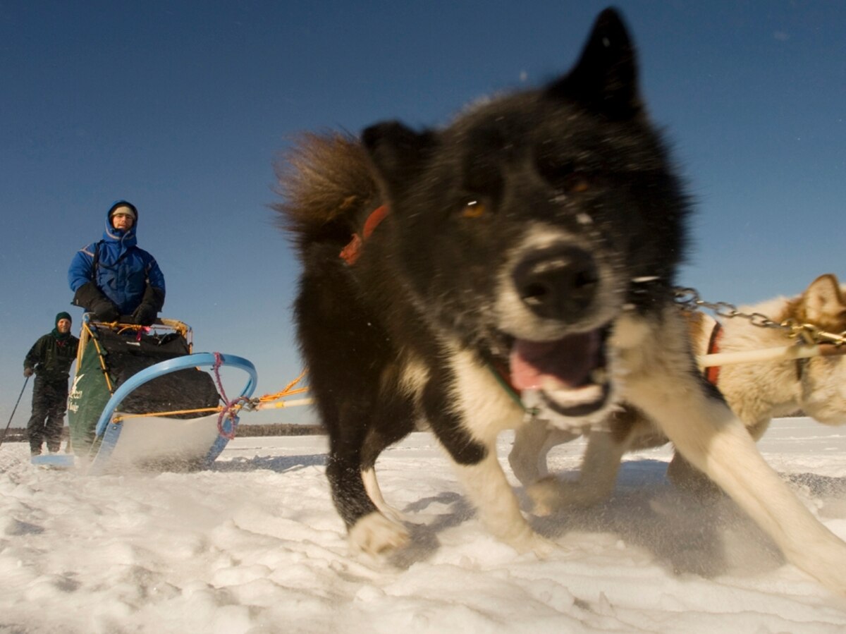 Ely, Minnesota, America’s Best Adventure Towns -- National Geographic