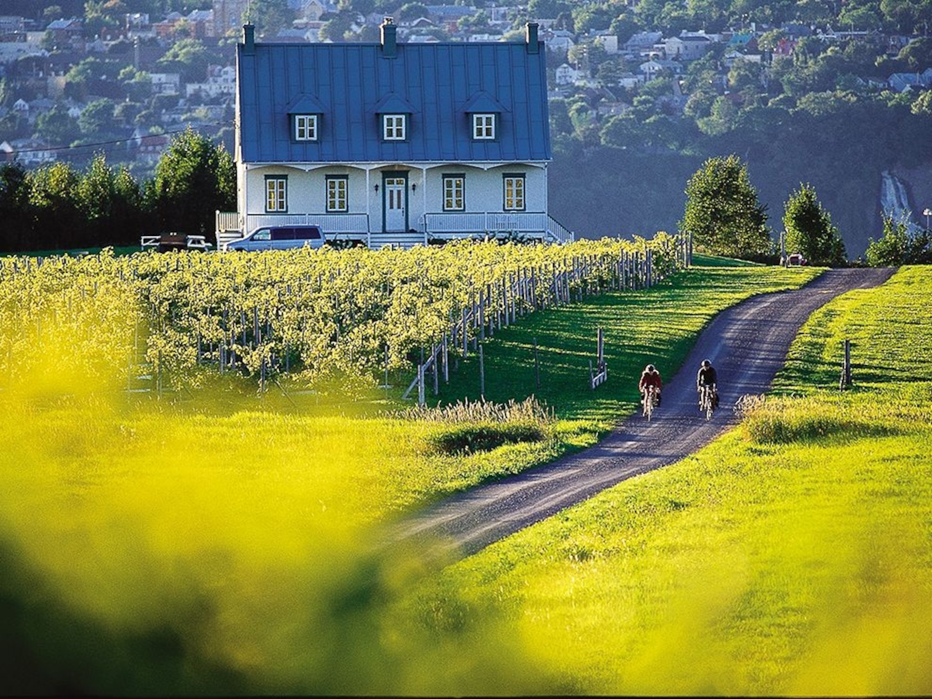 Î’le d’Orléans