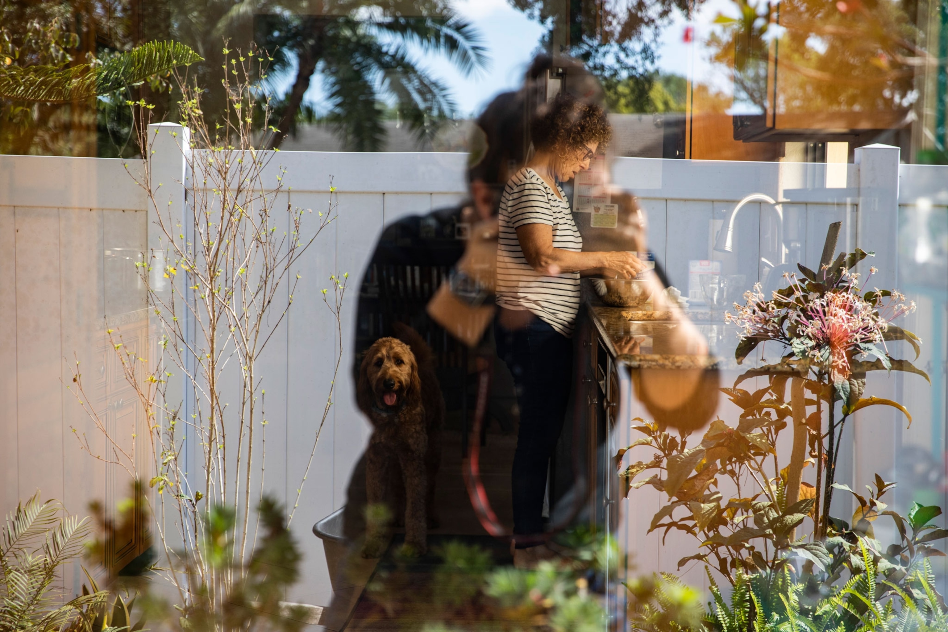 a woman chopping vegetables with a reflection of the photographer in a window