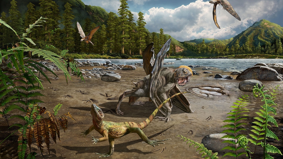 Fossils Show Lizards Could Run on Two Legs 110 Million Years Ago