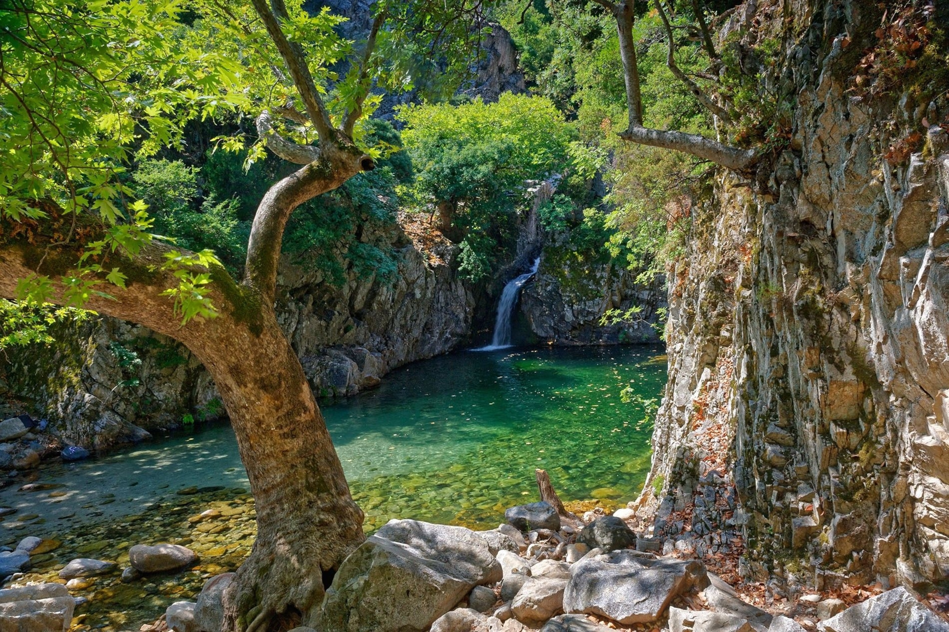 A small spot of crystal-clear water fed by a small waterfall in the background.