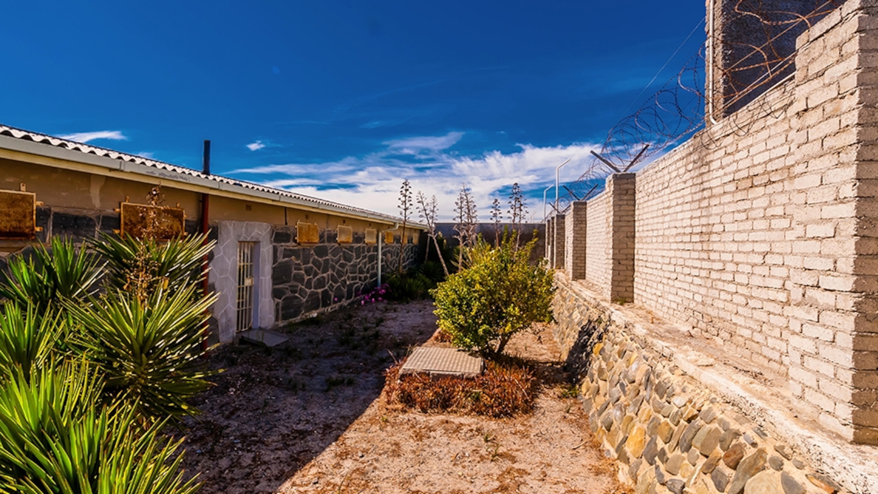 Discover the Rich History of Robben Island
