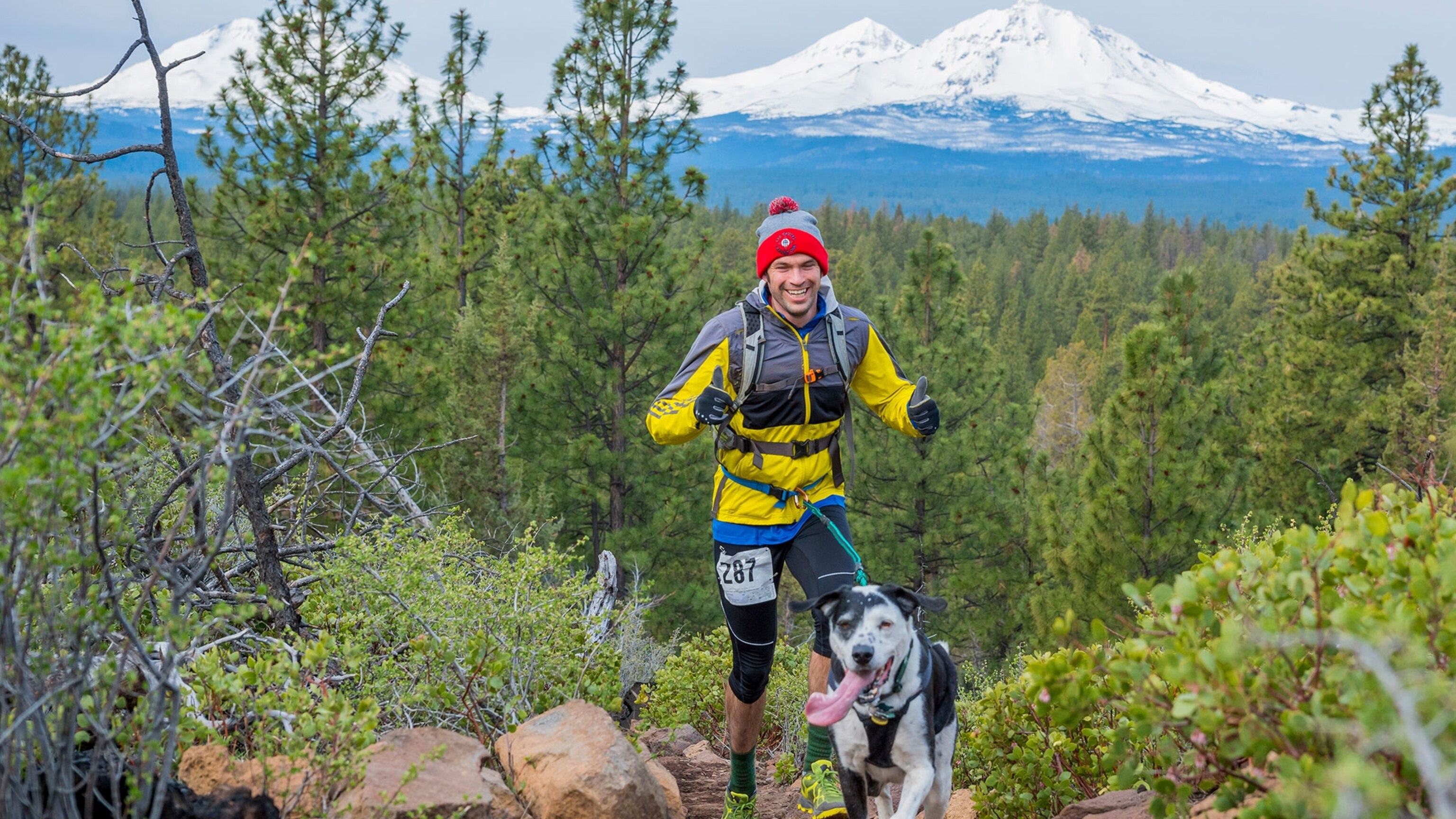 dog running with backpack