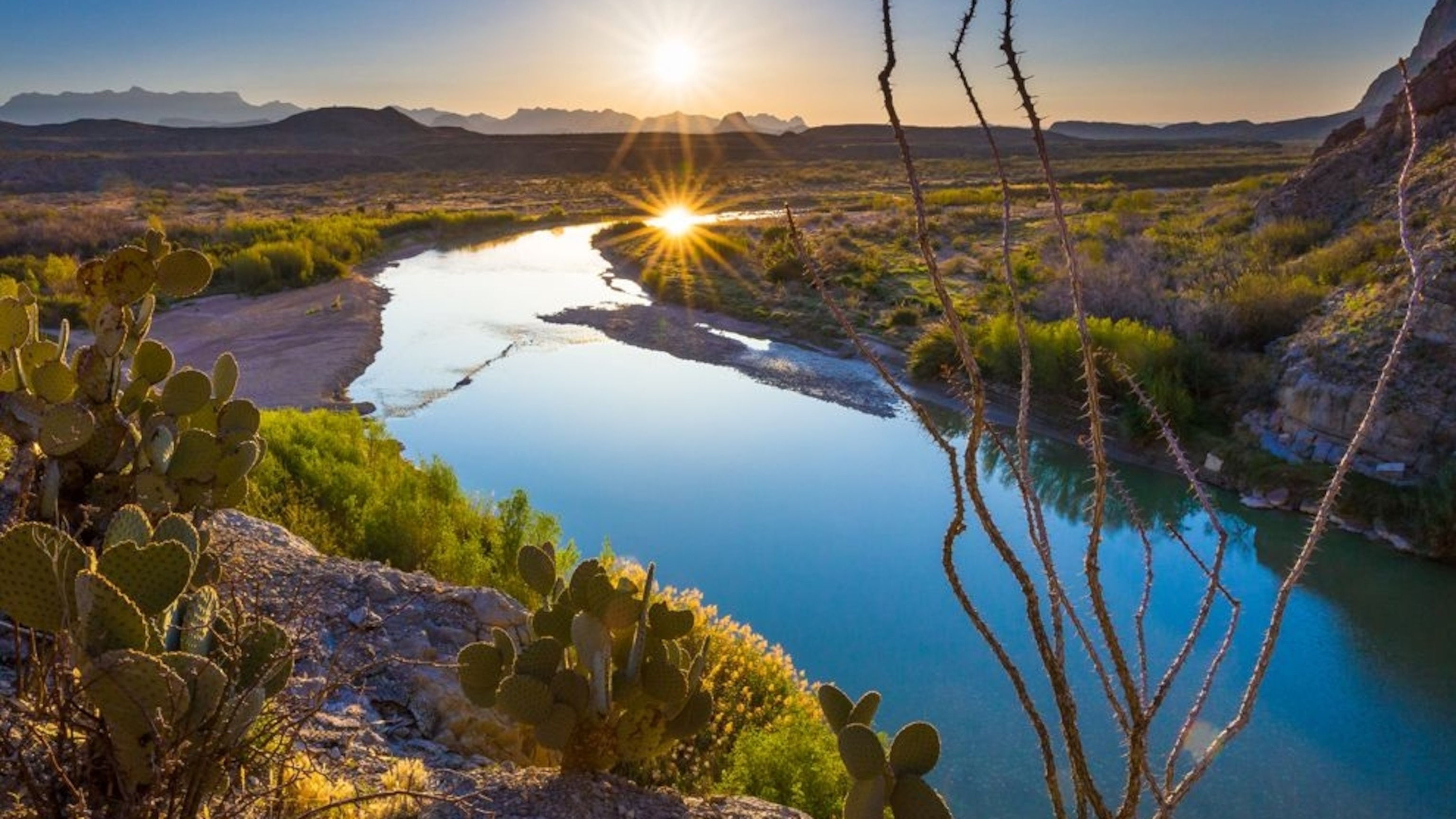 Big Bend Hosts the Most Bird Species of Any National Park