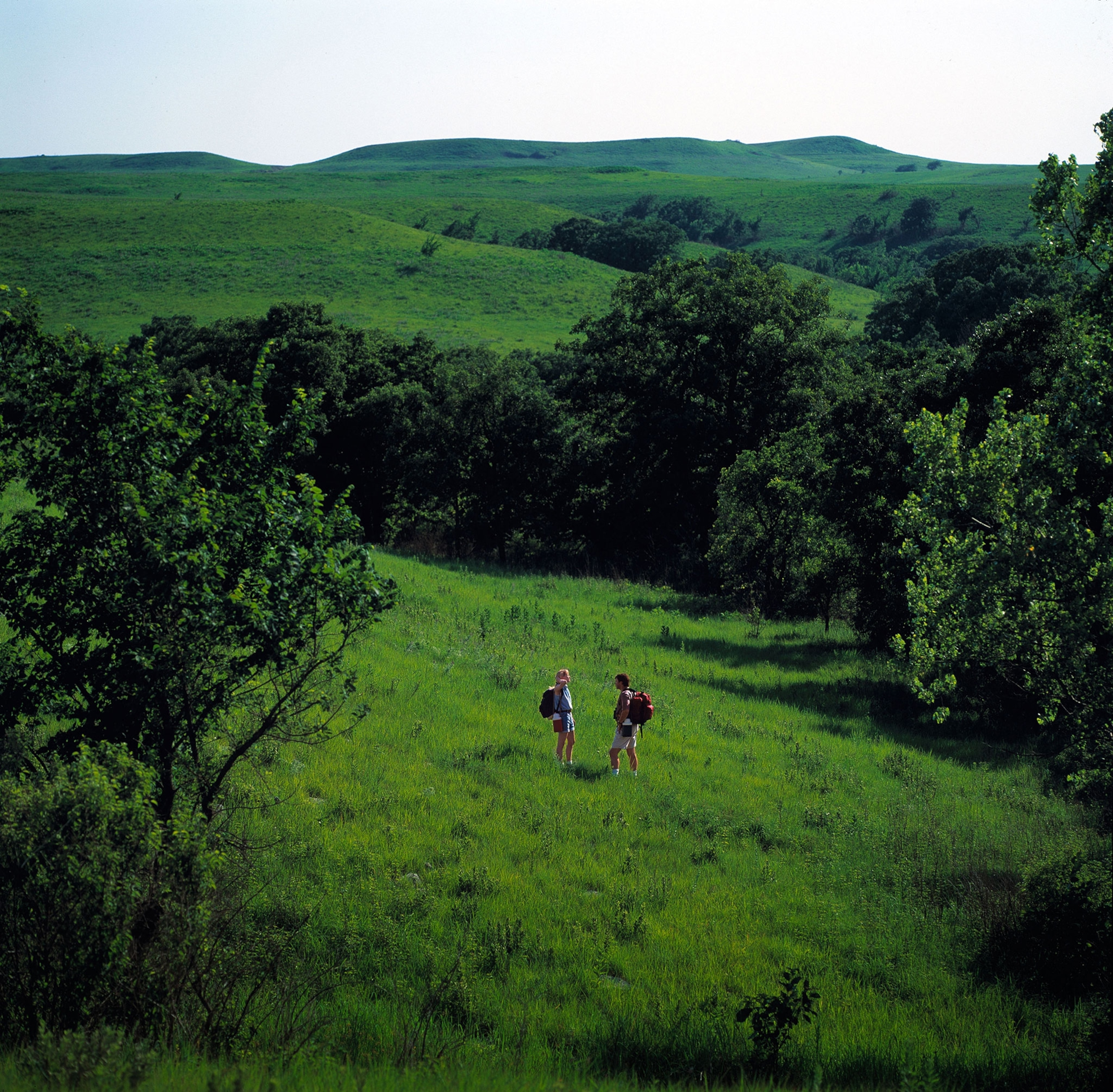 hiker on the Konza Prairie in the Flint Hills, Kansas