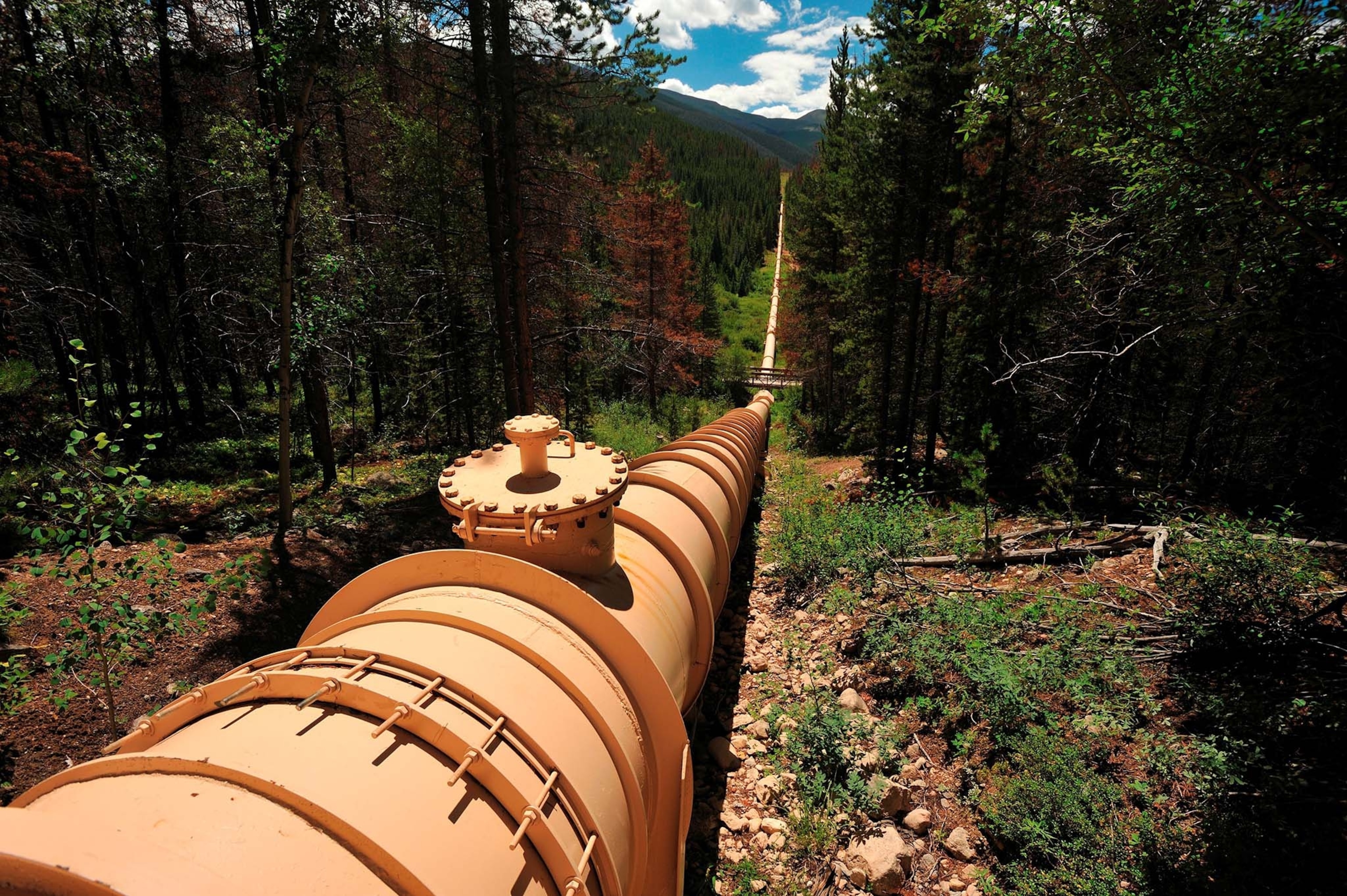 Pres. Dwight D. Eisenhower watching 7-yr-old grandson David fish as they stand at end of rickety pier, on Fraser River at Byers Peak Ranch.