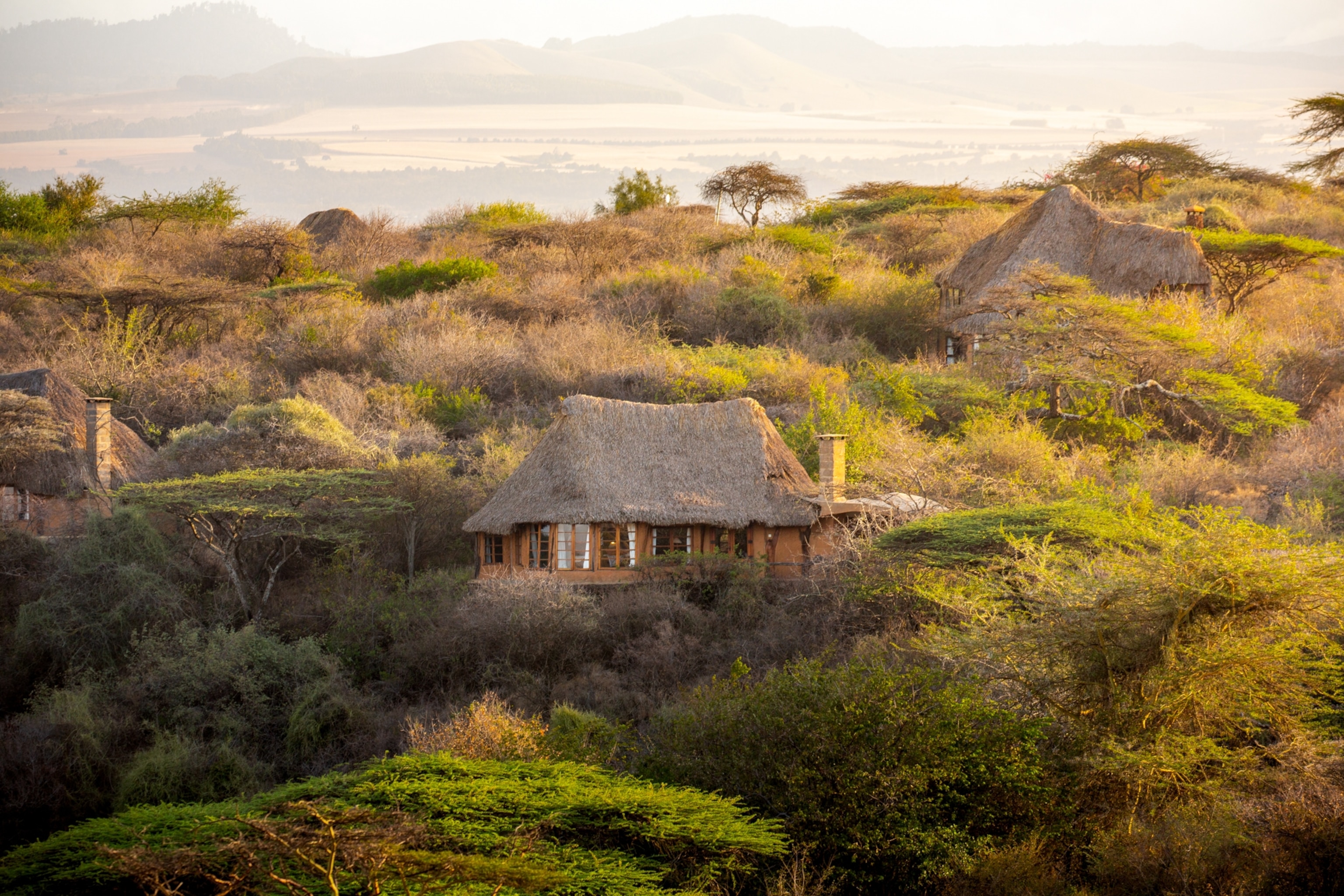The lodge at Lewa Wilderness in Kenya. Owners say safaris should have a small footprint, ideally with fewer than 30 beds for guests.