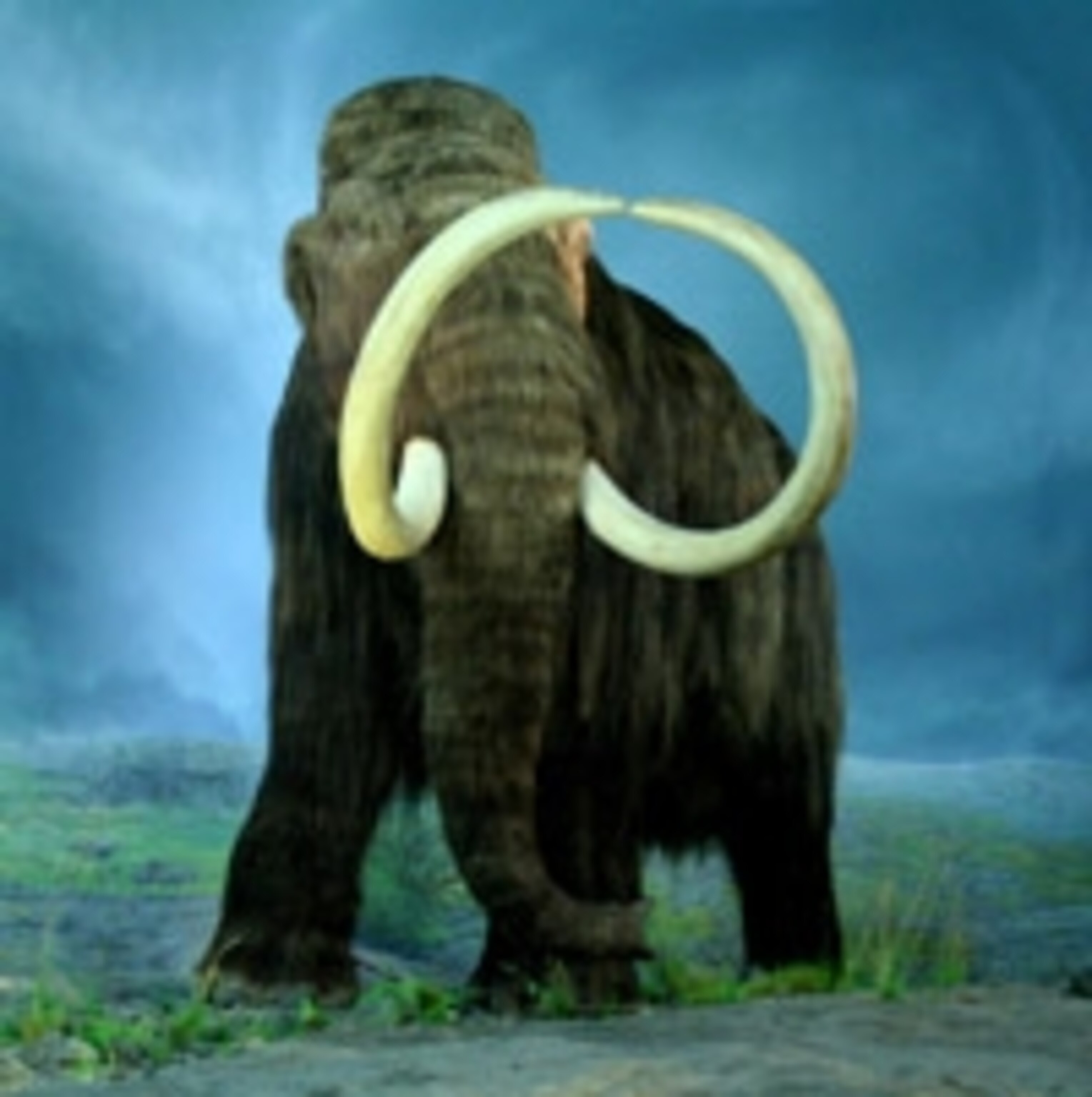 Wooly_Mammoth-RBC.jpg