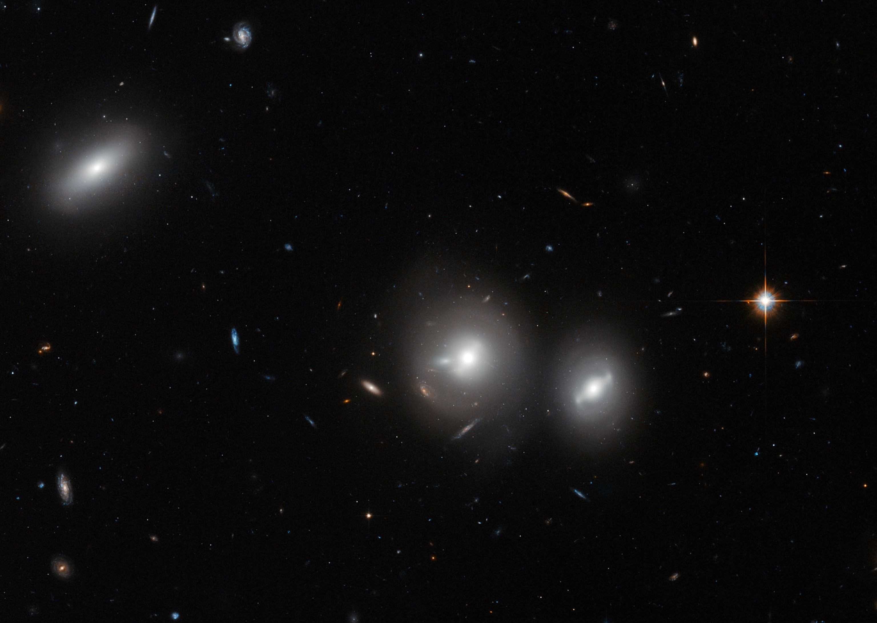 Coma Cluster