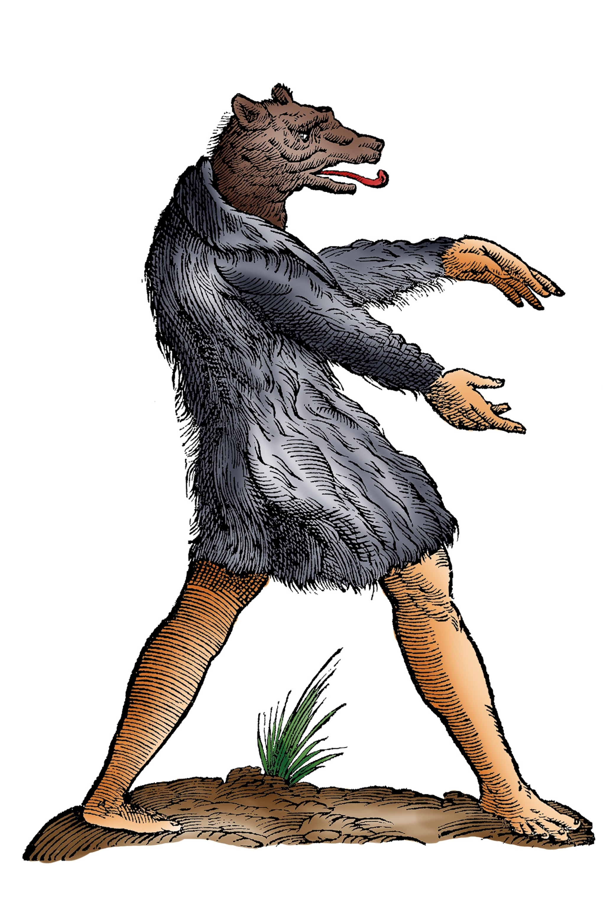 A beast with the head of a dog is illustrated in the 1642 "Monstrorum Historia."