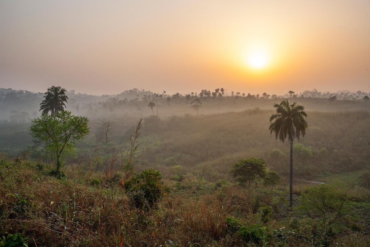 Guinea Travel Guide