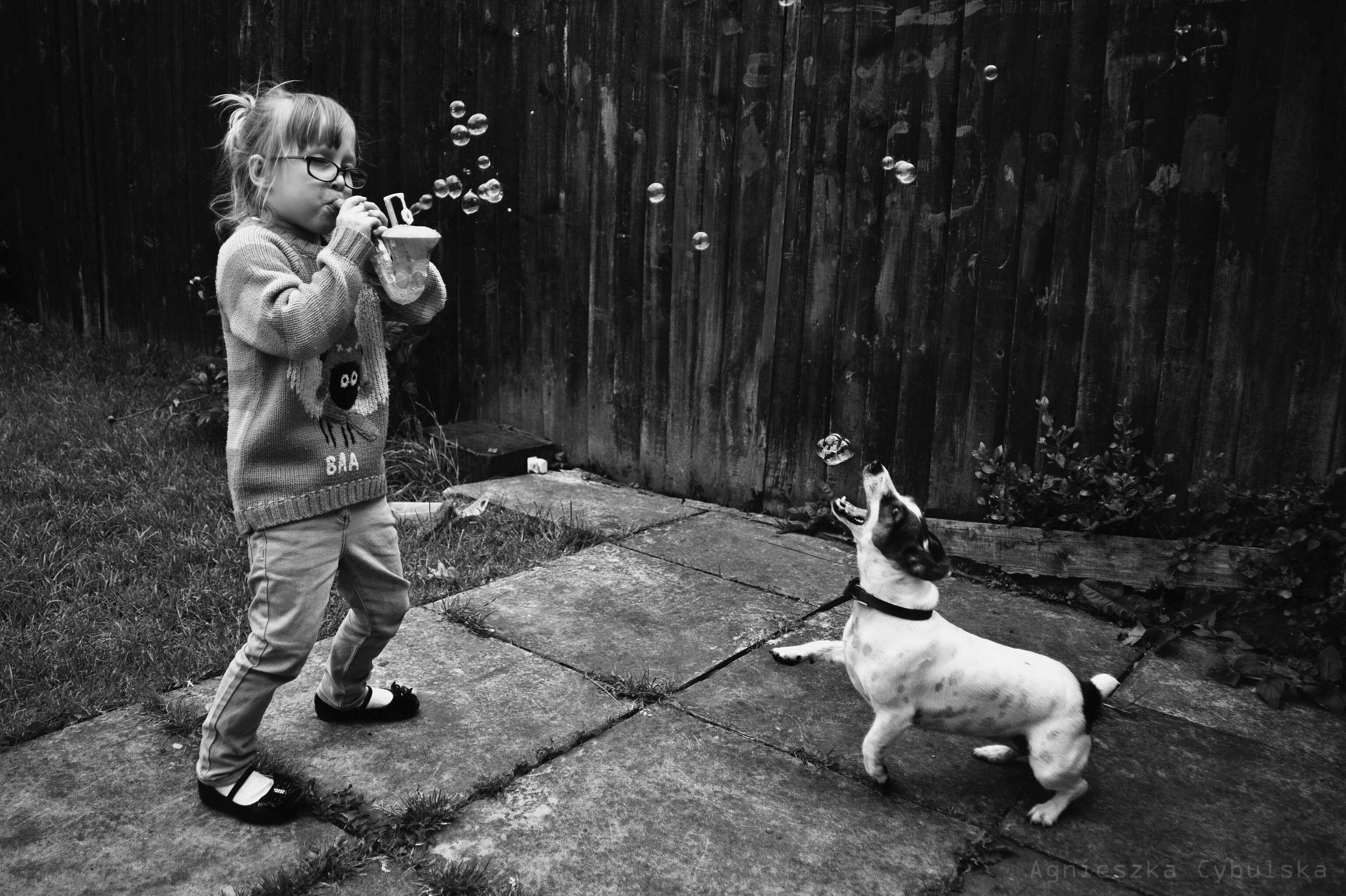 a child blowing bubbles and a dog biting the bubbles