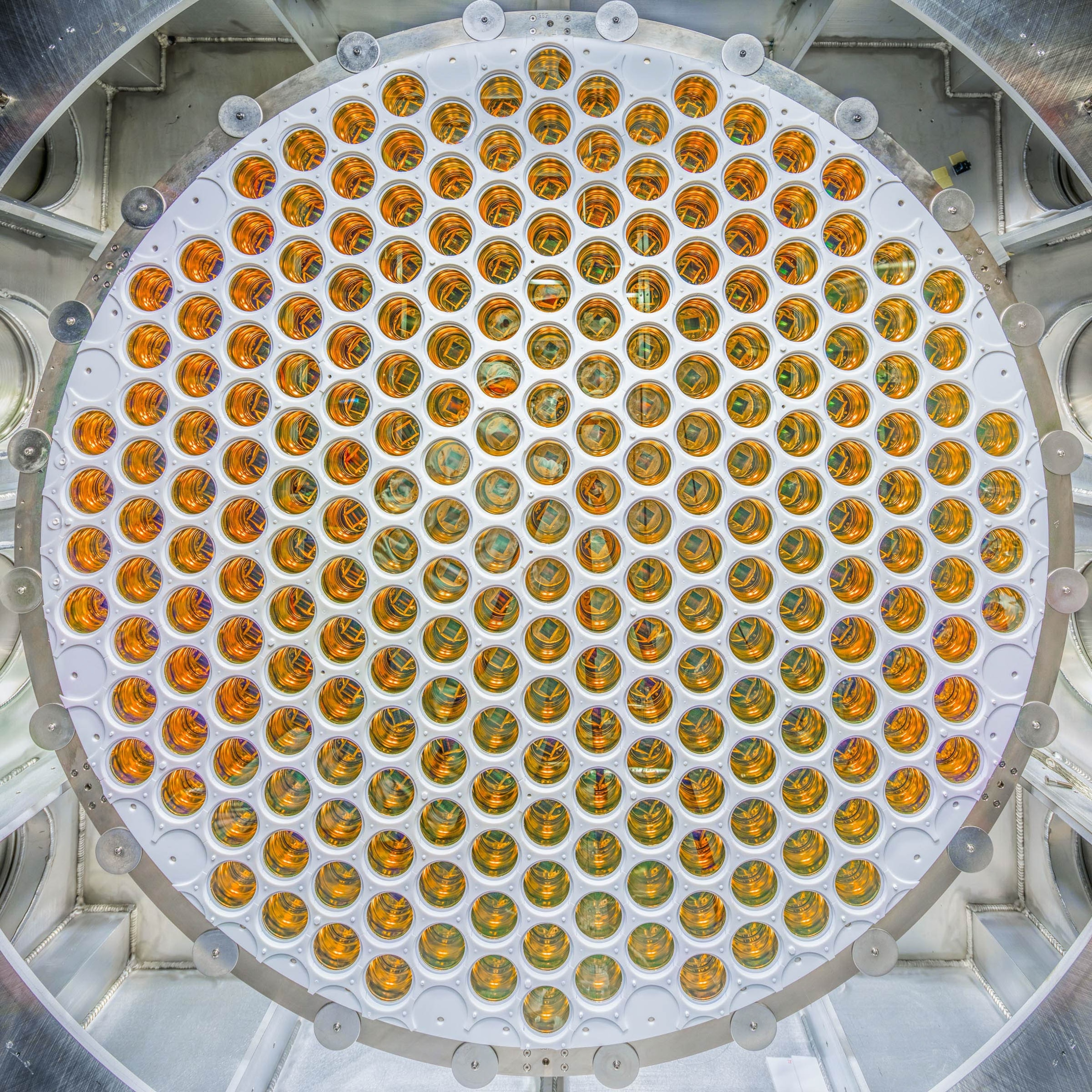 Caption: Photomultiplier tubes inside the LZ detector are designed to capture faint flashes of light that could signal a dark matter interaction.