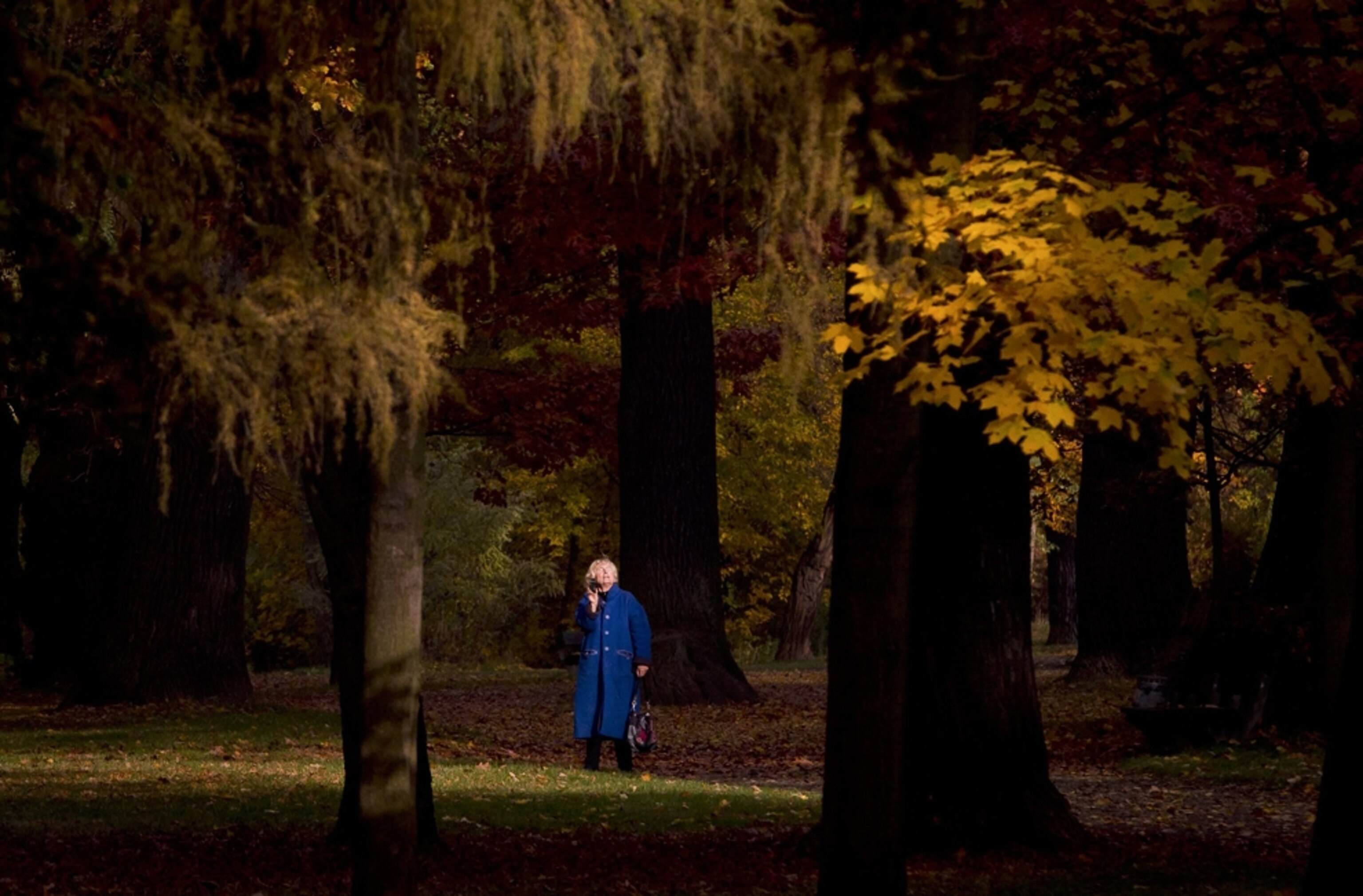 Berlin picture: Schoenhausen Castle park -- for best pictures of November photo gallery