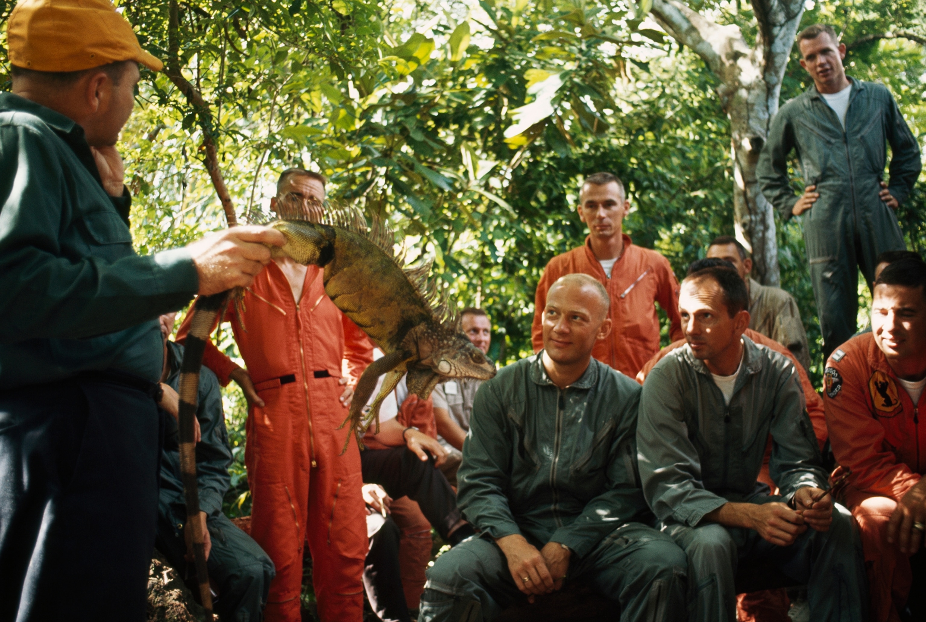 Astronauts learn to survive on iguana and other fauna in a rainforest.