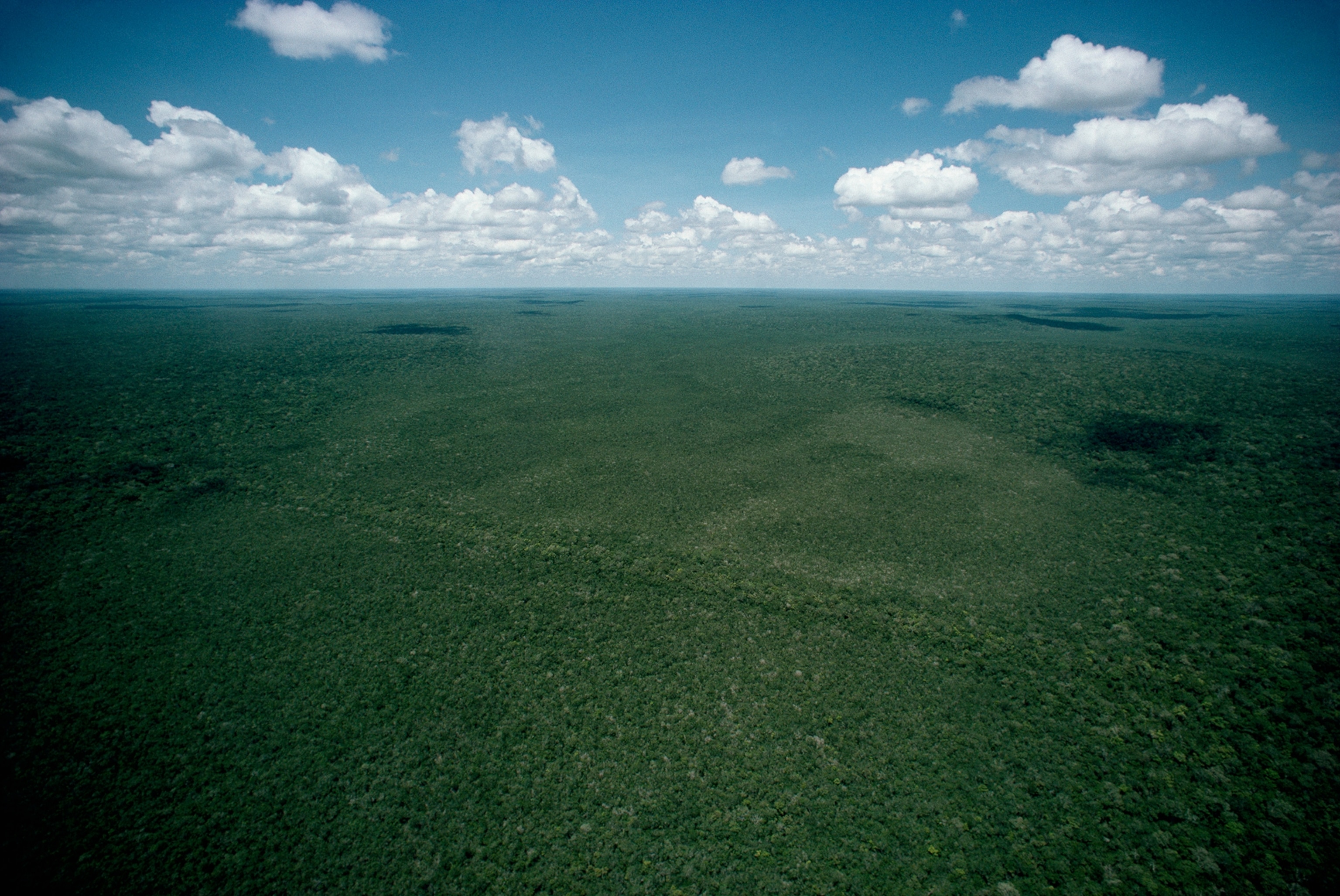 A green causeway connects two large sites of Maya ruins.
