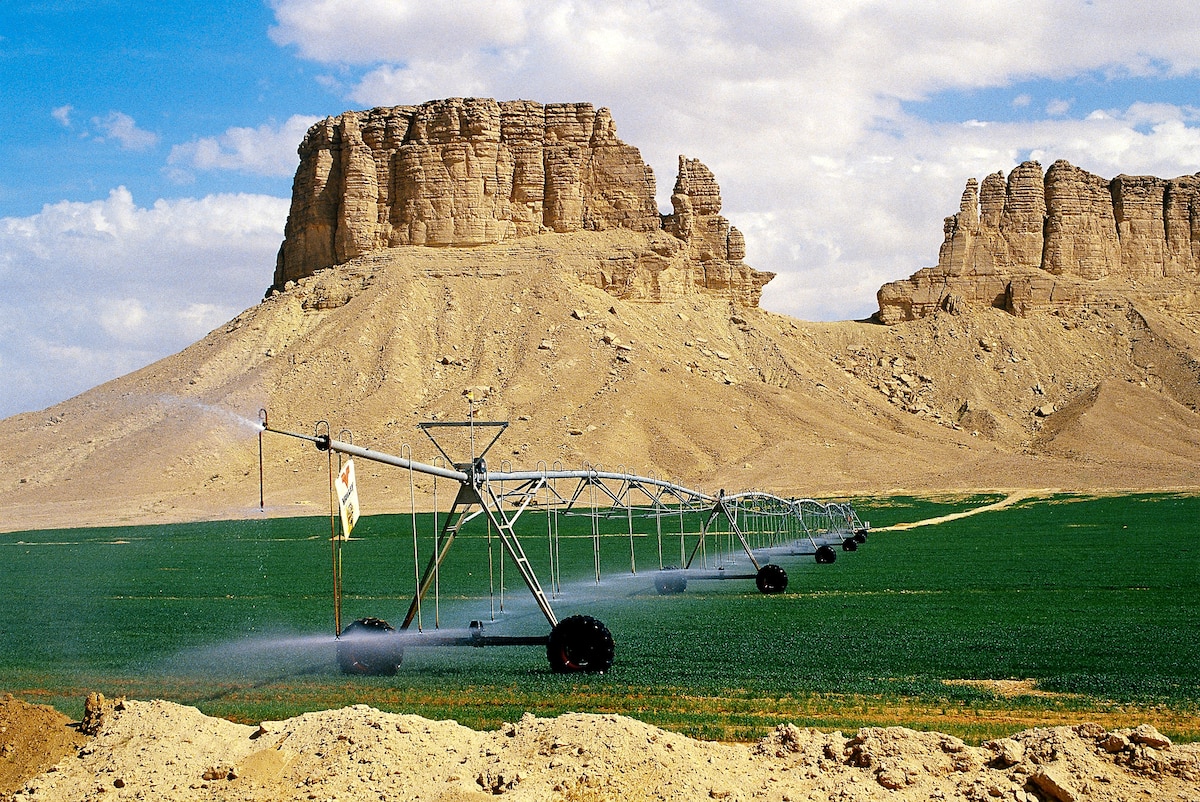 Greening the Desert Pictures Water Grabbers National Geographic