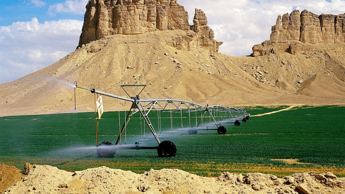 Greening the Desert Pictures Water Grabbers National Geographic