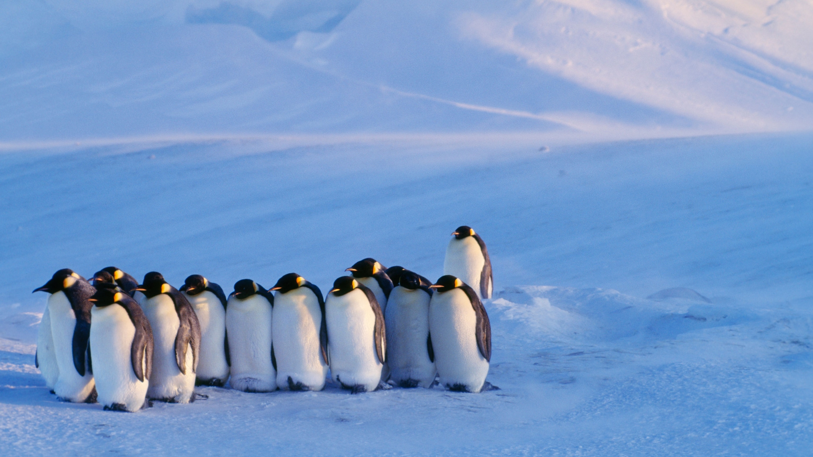 Antarctica