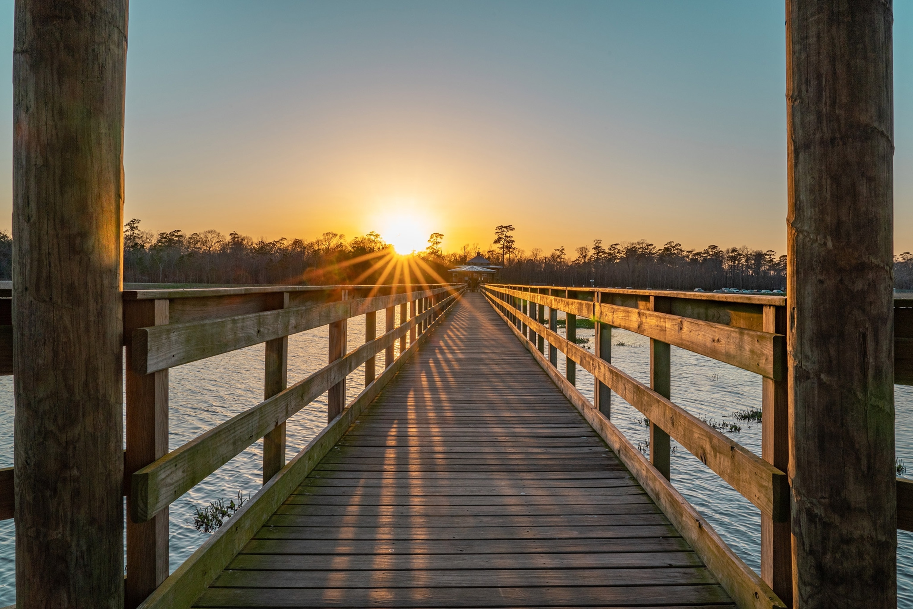 A boardwalk extends forward into a surrounding body of water, a stand of trees across. A burst of light from a low setting sun.